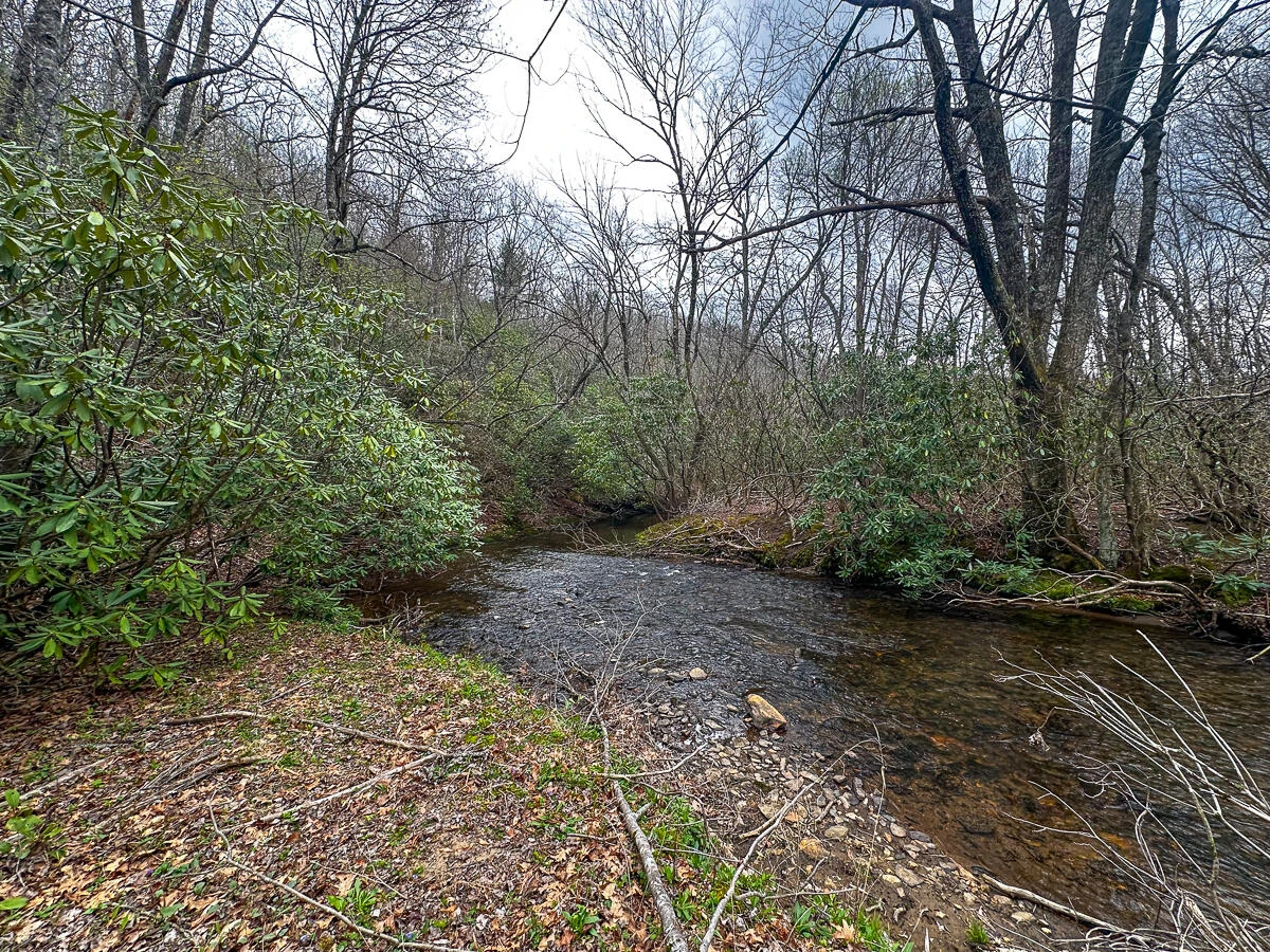311 Dan River RD - Photo 7