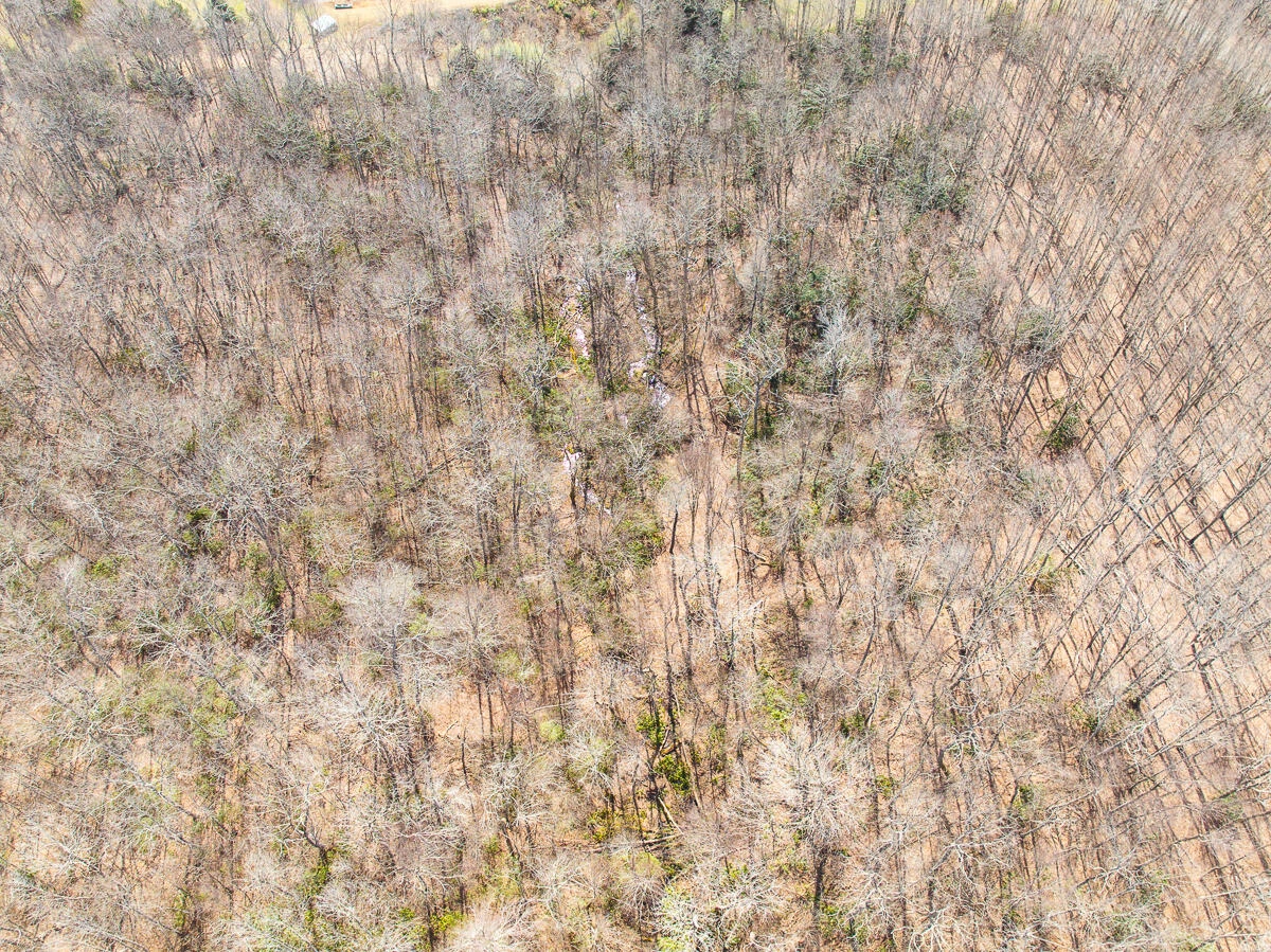 311 Dan River RD - Photo 74