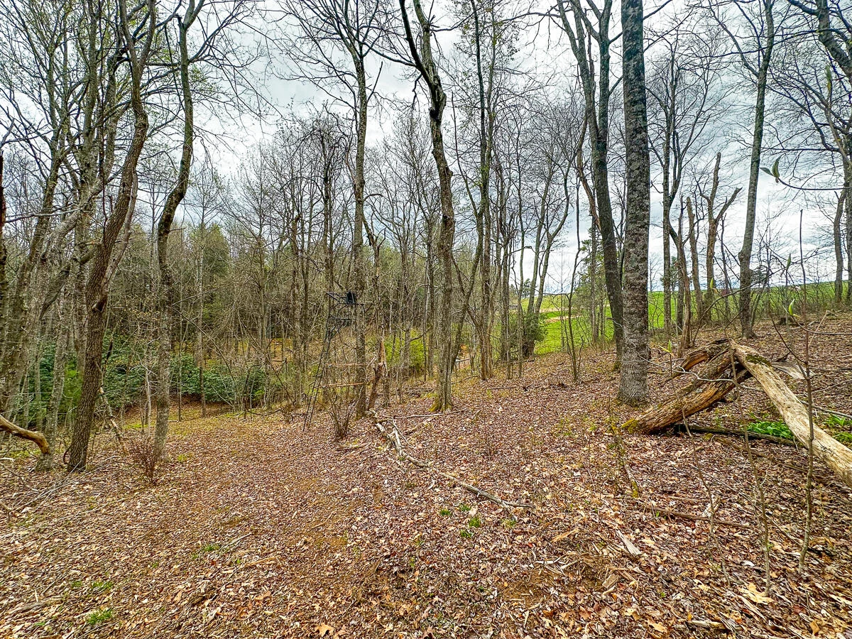 311 Dan River RD - Photo 75