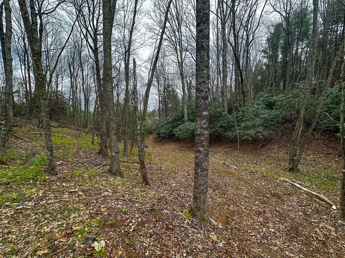 311 Dan River RD - Photo 76