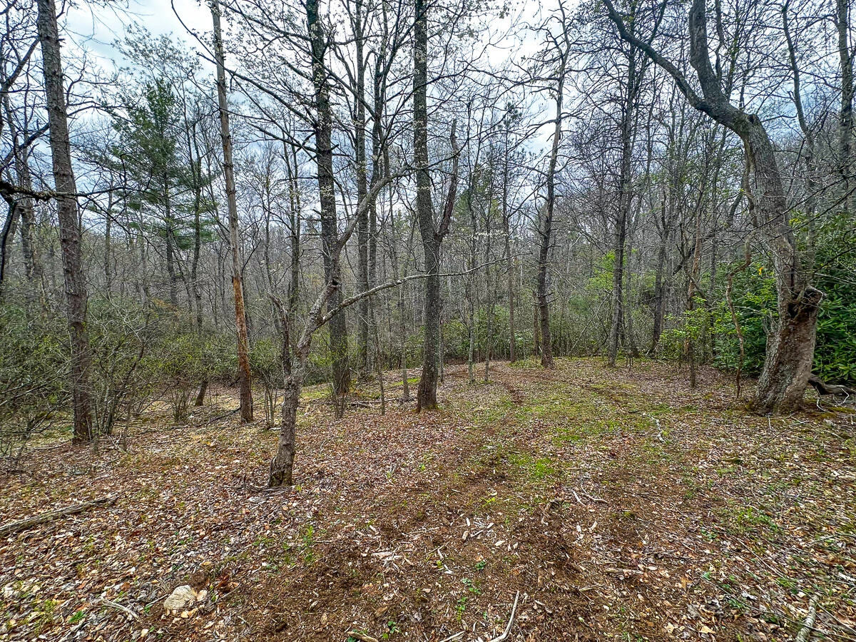 311 Dan River RD - Photo 77