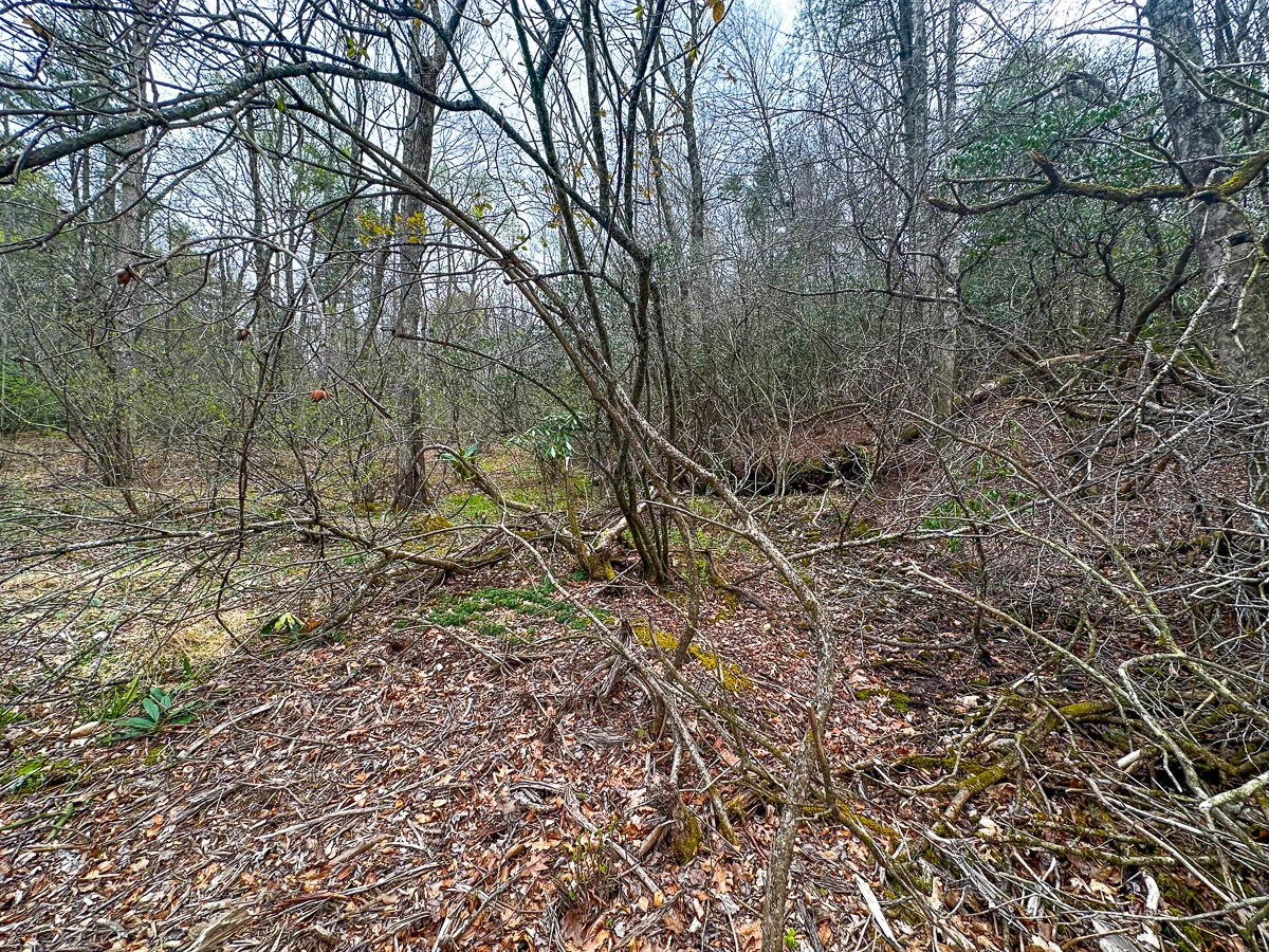 311 Dan River RD - Photo 78