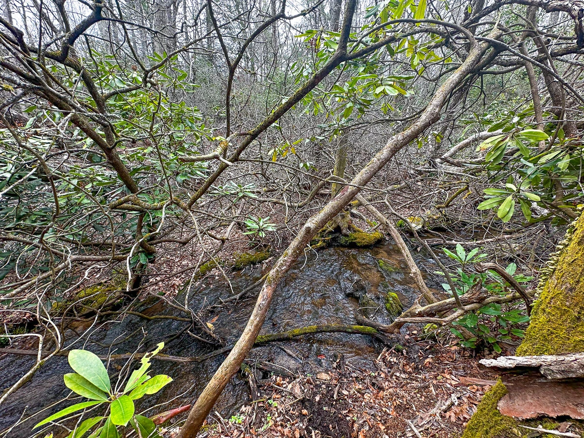 311 Dan River RD - Photo 79