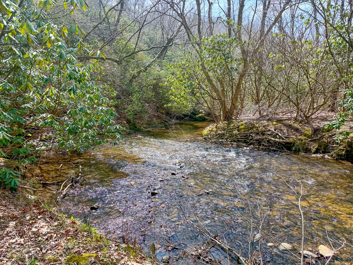 311 Dan River RD - Photo 81