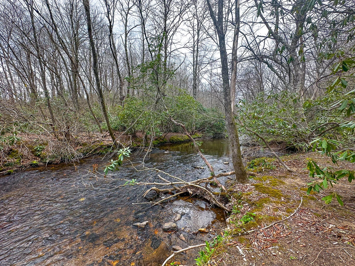 311 Dan River RD - Photo 82