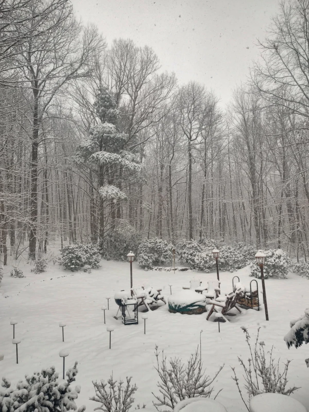 311 Dan River RD - Photo 86