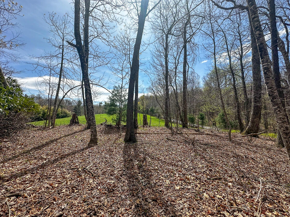 311 Dan River RD - Photo 9