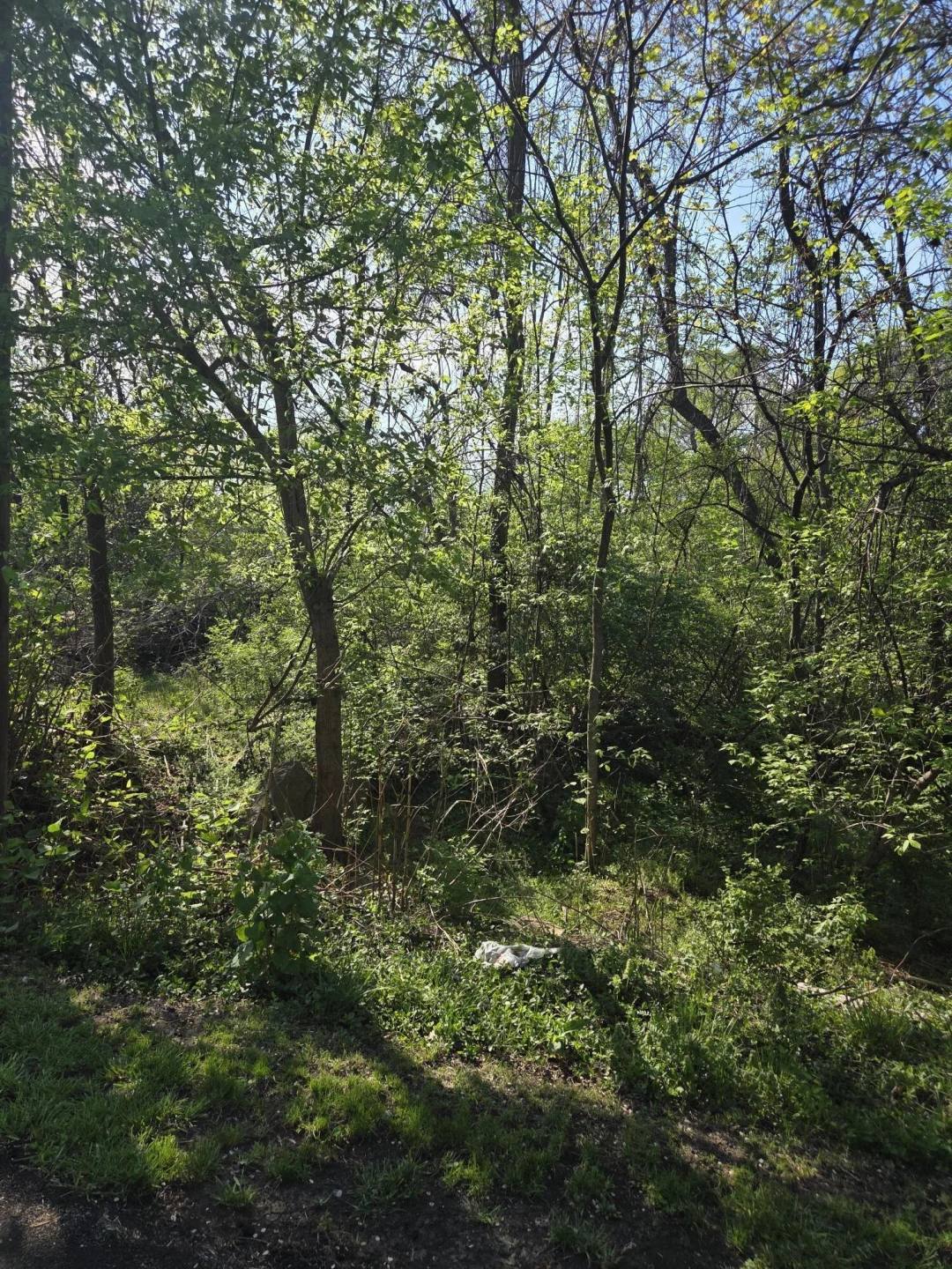 0 Archbold AVE