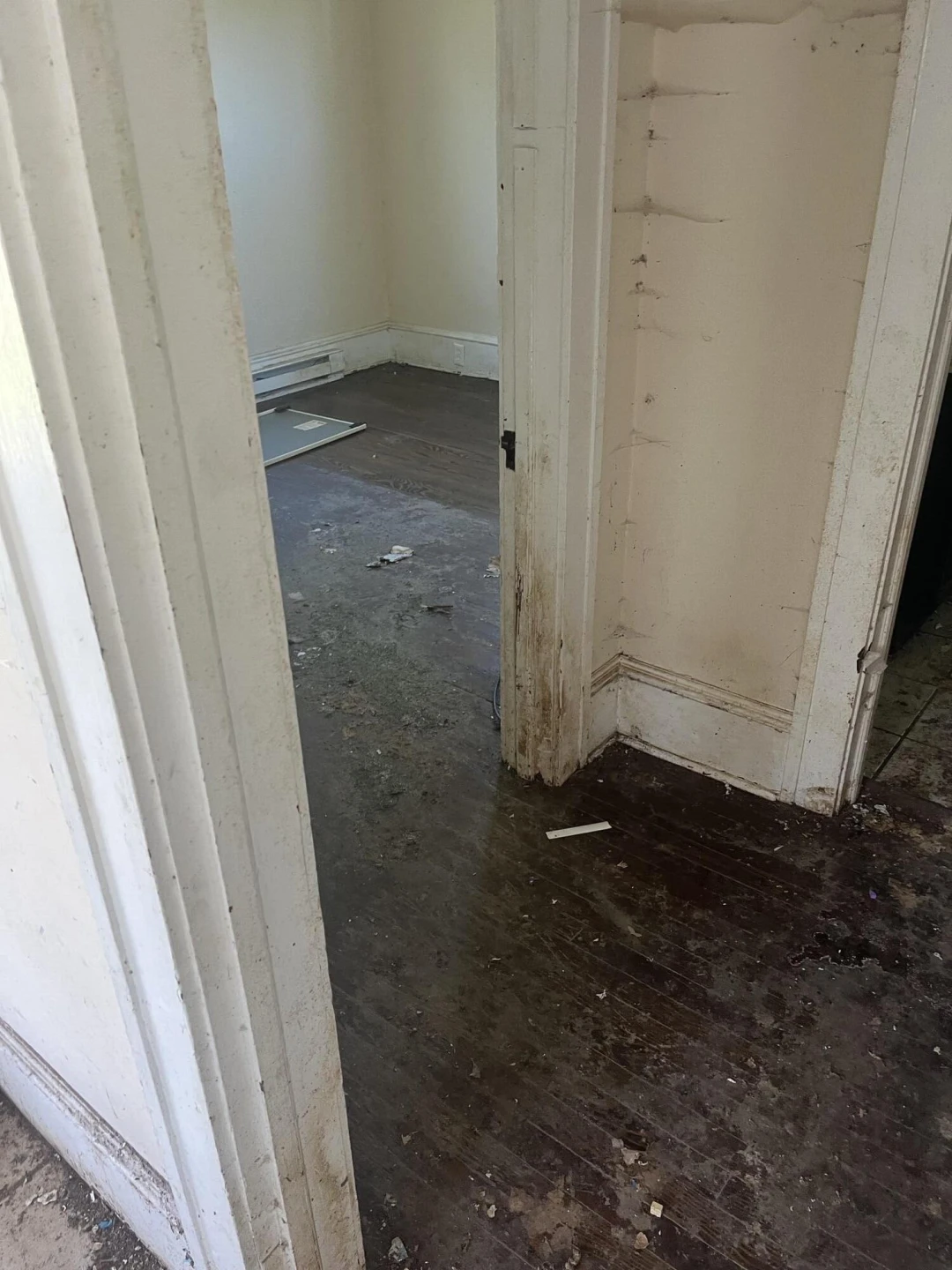 652 Montrose AVE - Photo 4