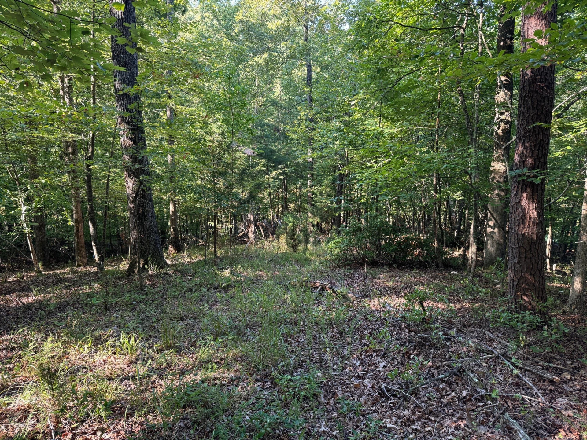 2 Cedar Bluff LN - Photo 5