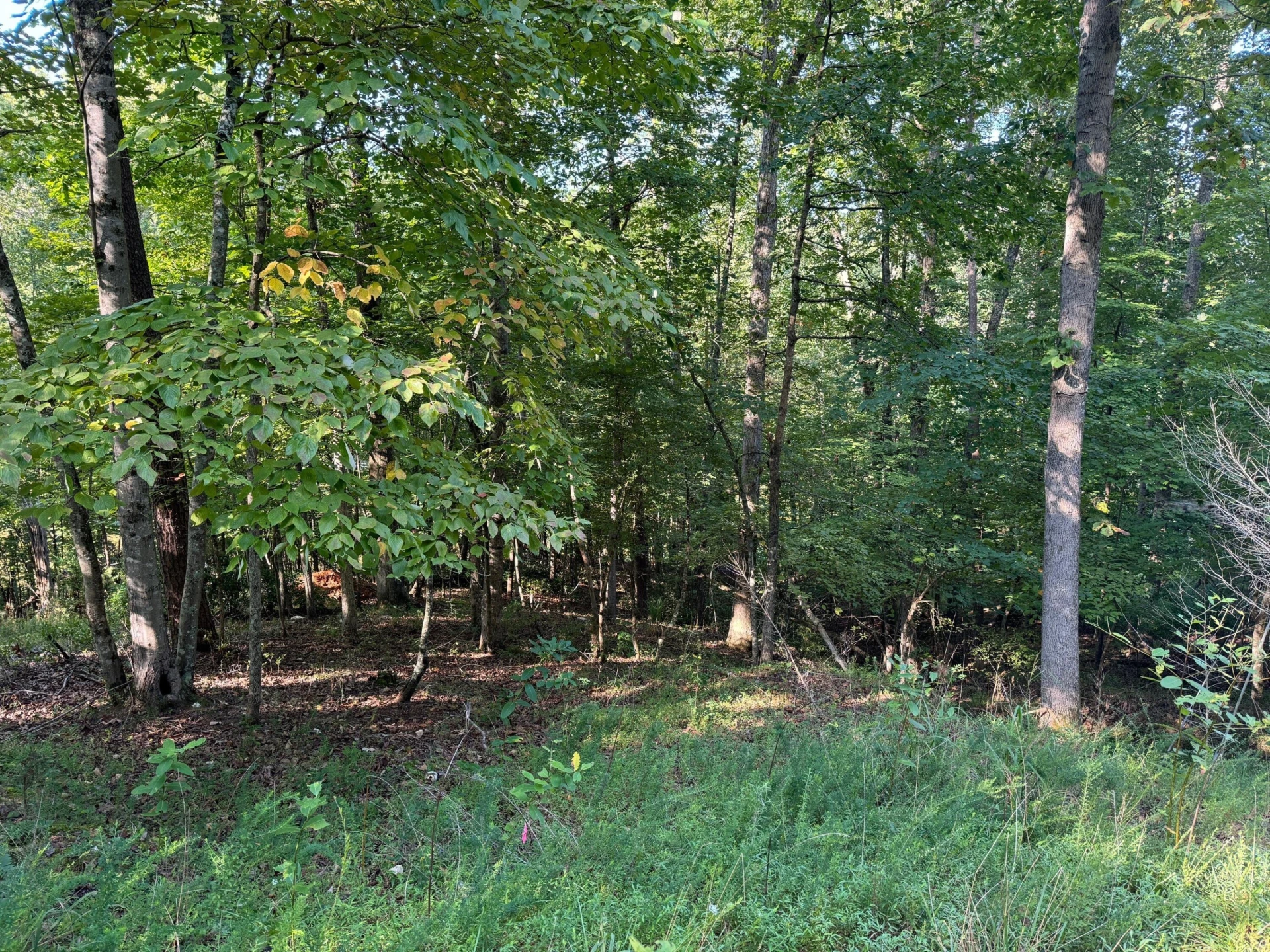 2 Cedar Bluff LN - Photo 6