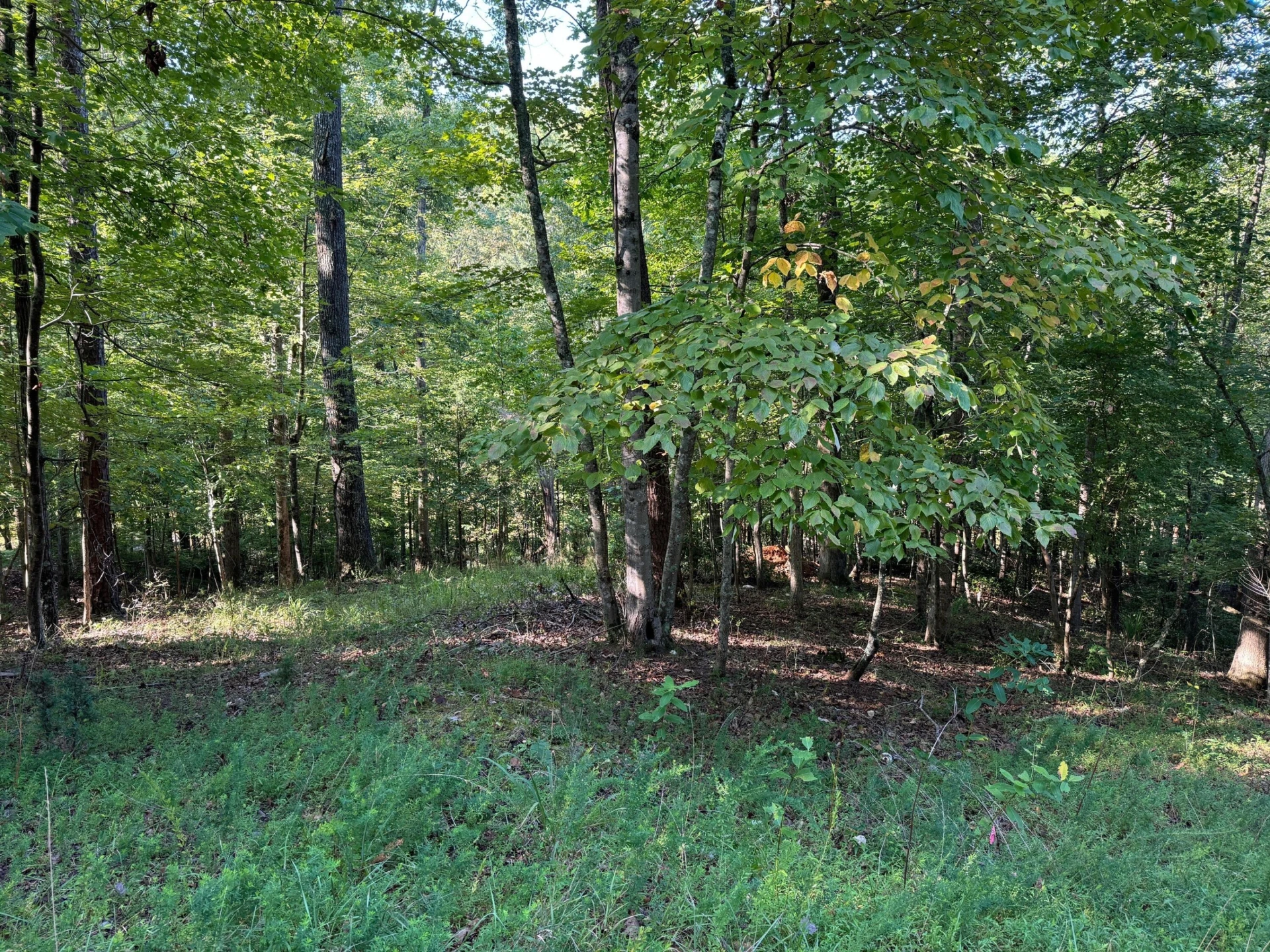 2 Cedar Bluff LN - Photo 7