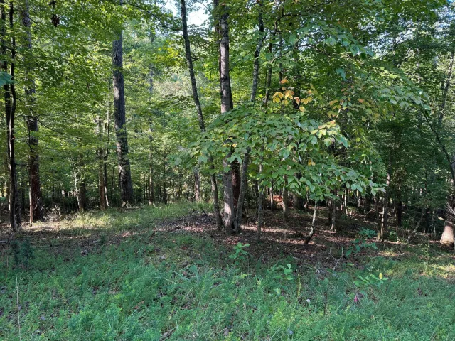 2 Cedar Bluff LN, Hardy, VA, 24101