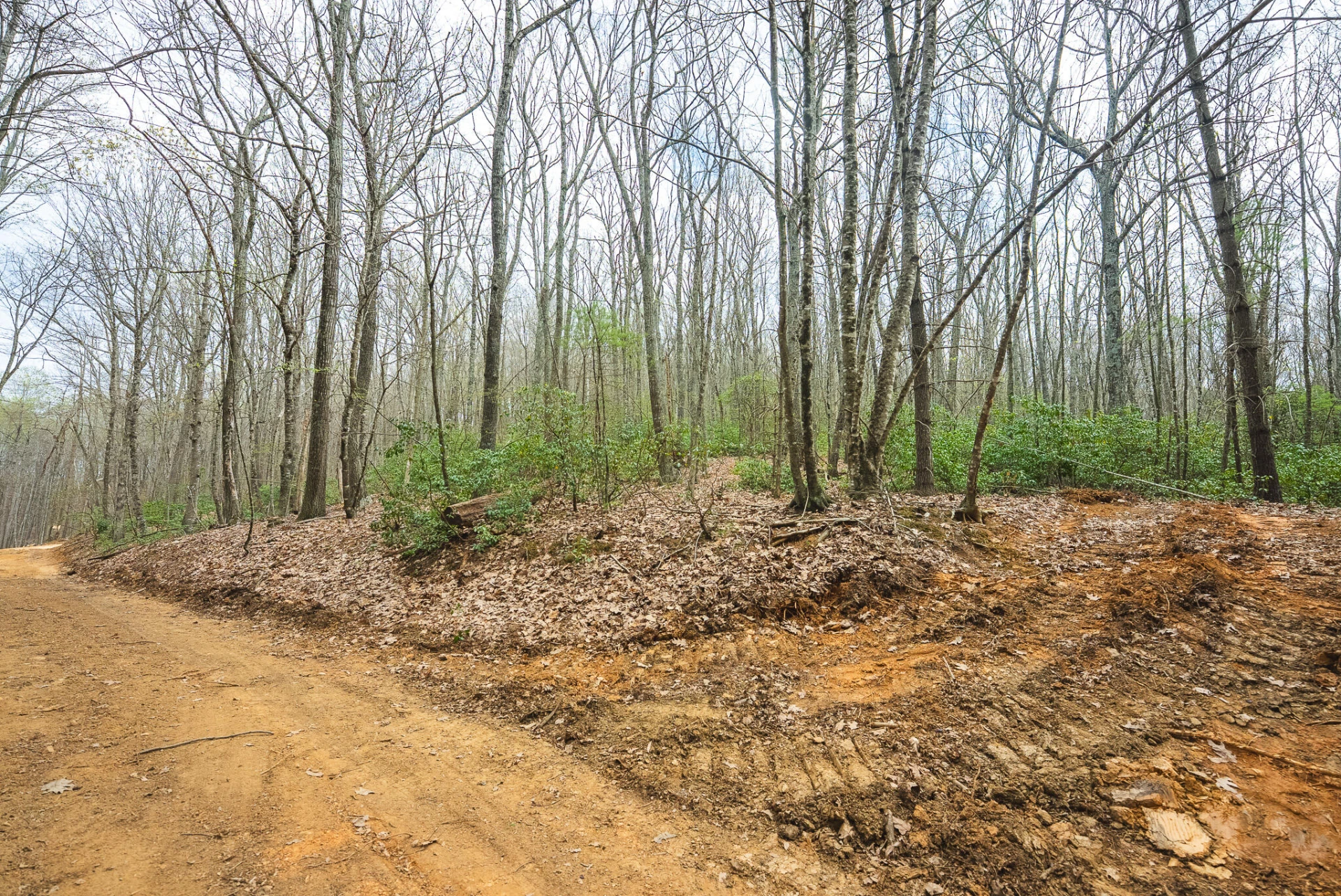 TBD Cox Store RD - Photo 10