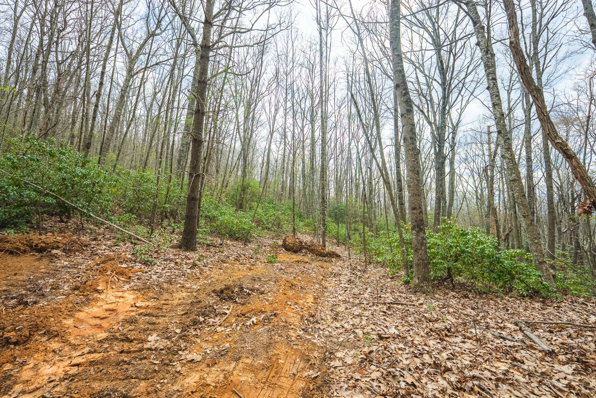 TBD Cox Store RD - Photo 11