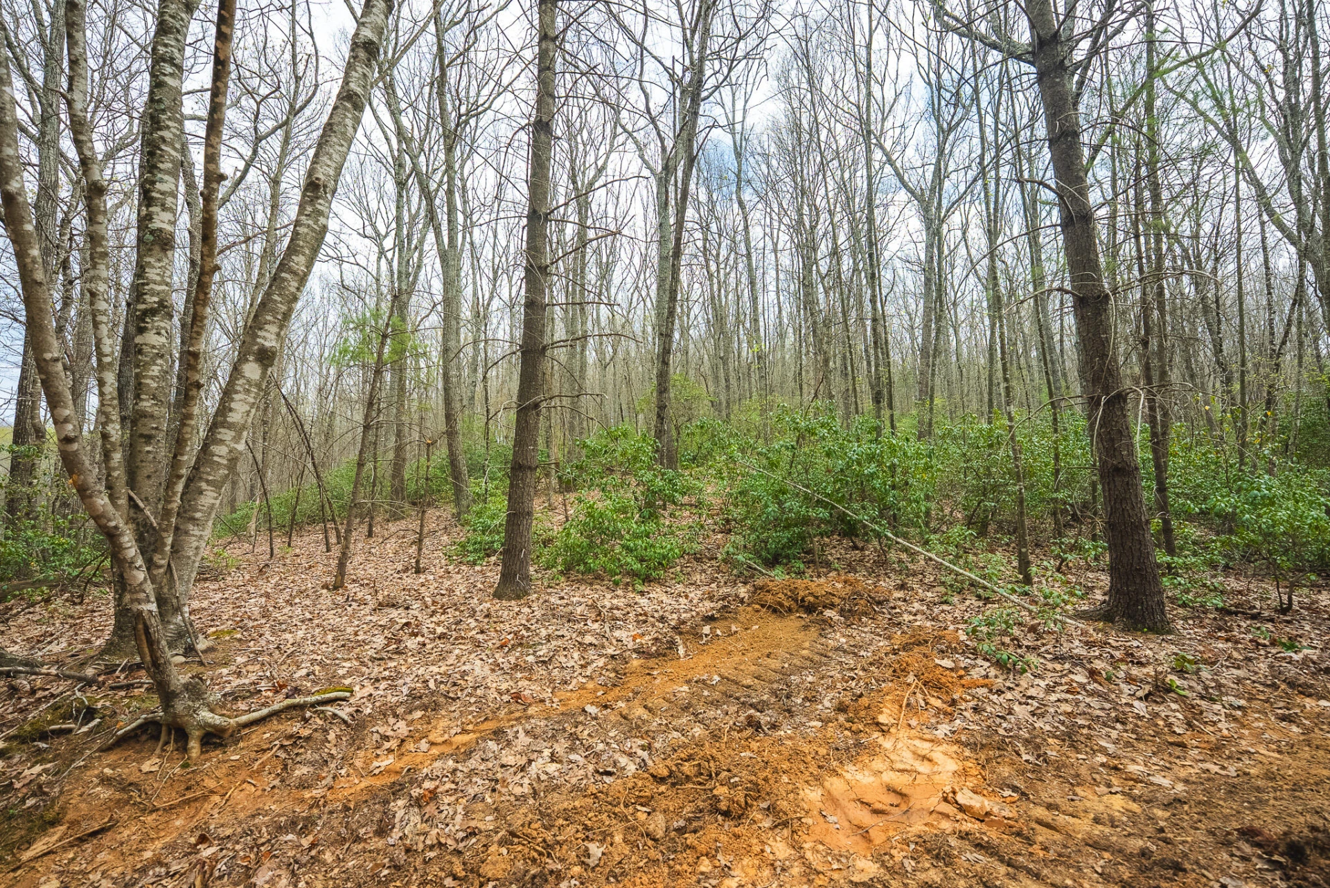 TBD Cox Store RD - Photo 12
