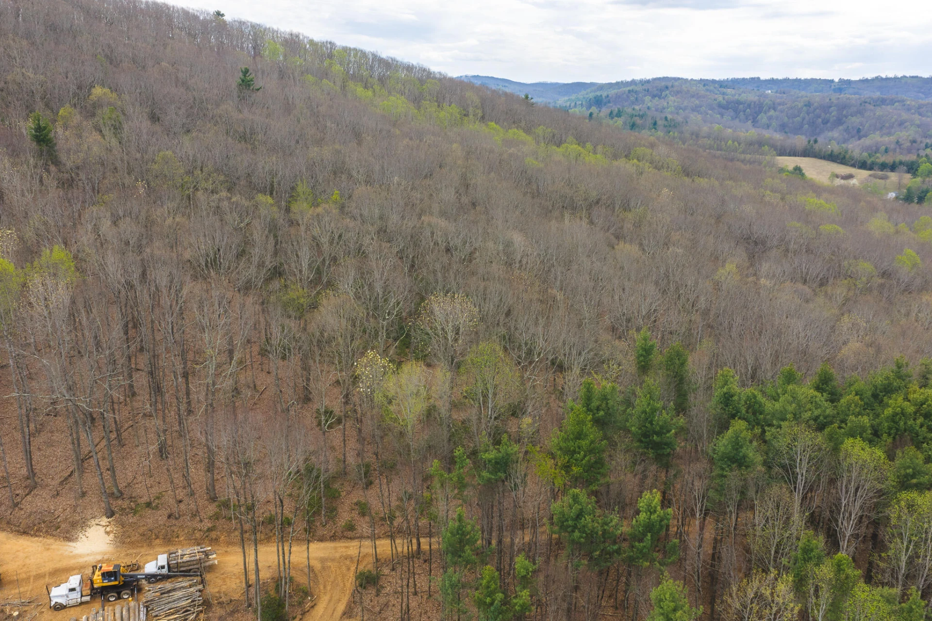 TBD Cox Store RD - Photo 2