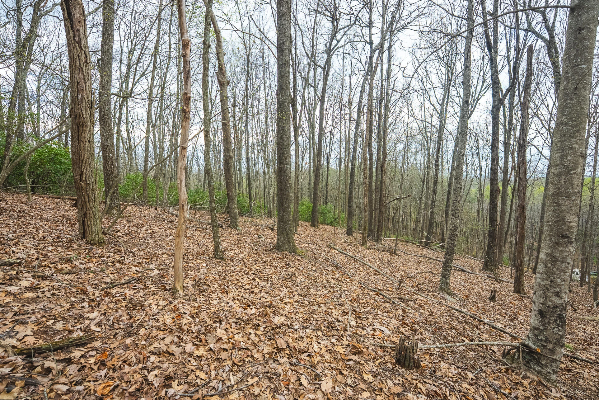 TBD Cox Store RD - Photo 20