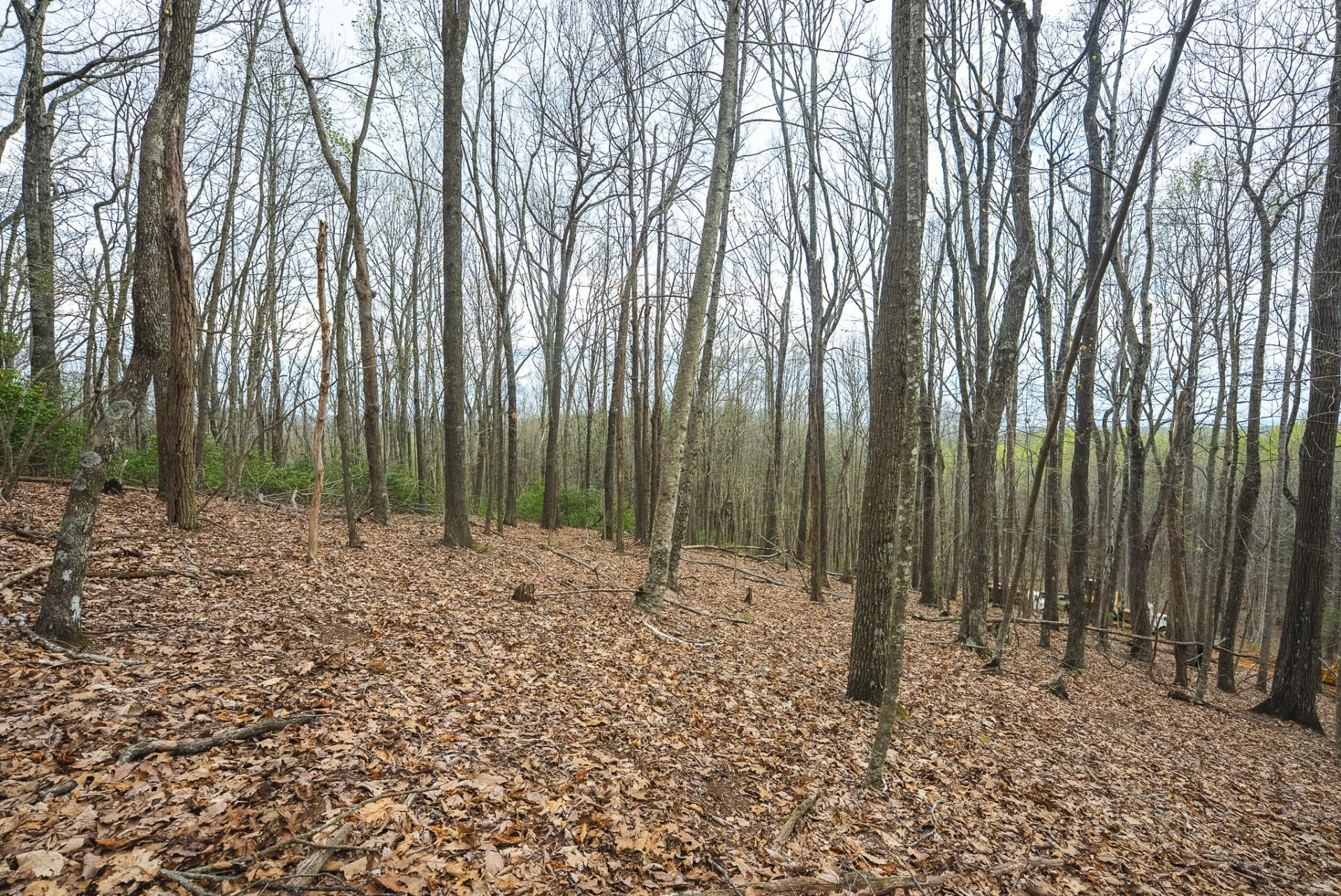 TBD Cox Store RD - Photo 21
