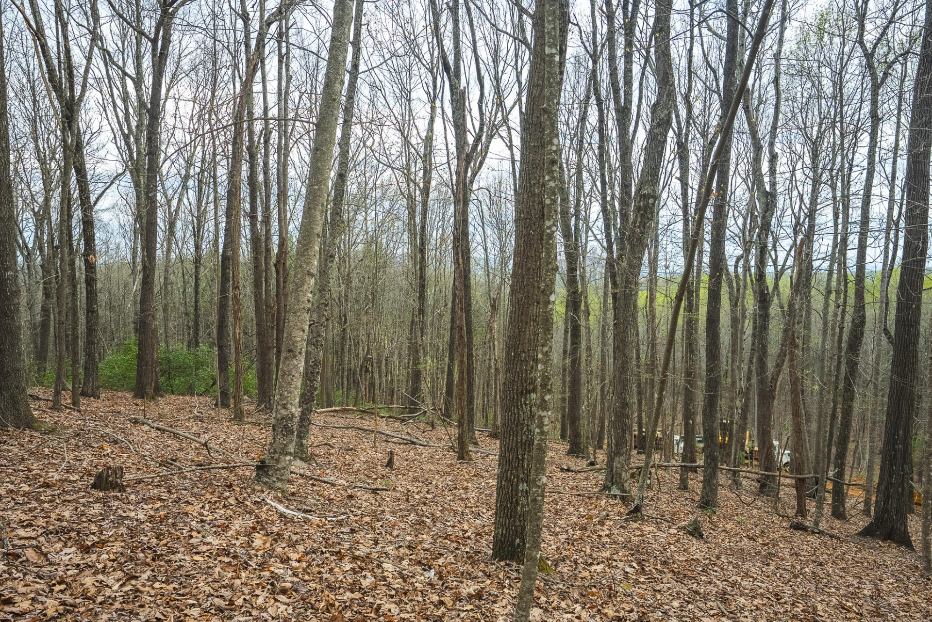 TBD Cox Store RD - Photo 22