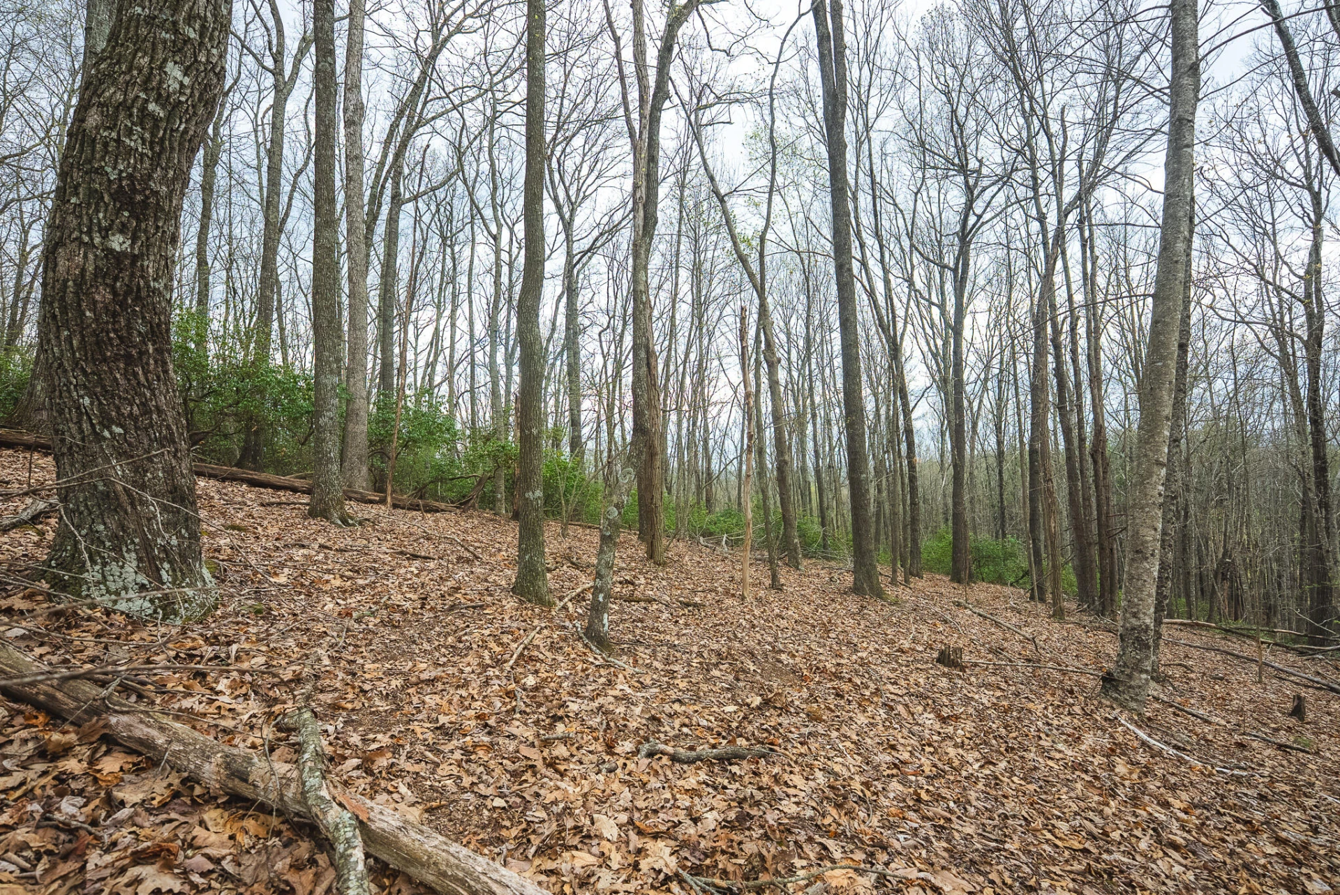 TBD Cox Store RD - Photo 23