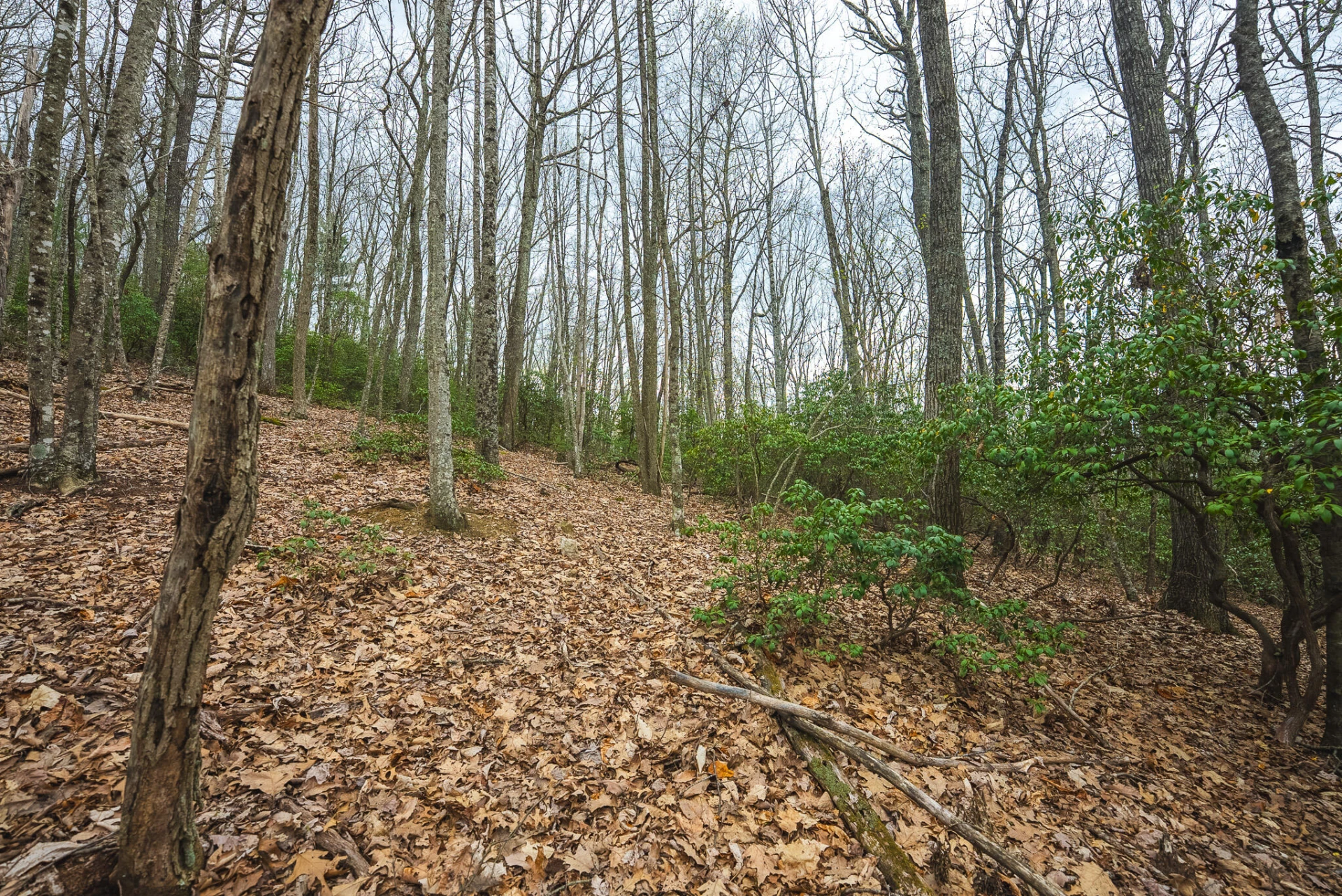 TBD Cox Store RD - Photo 25