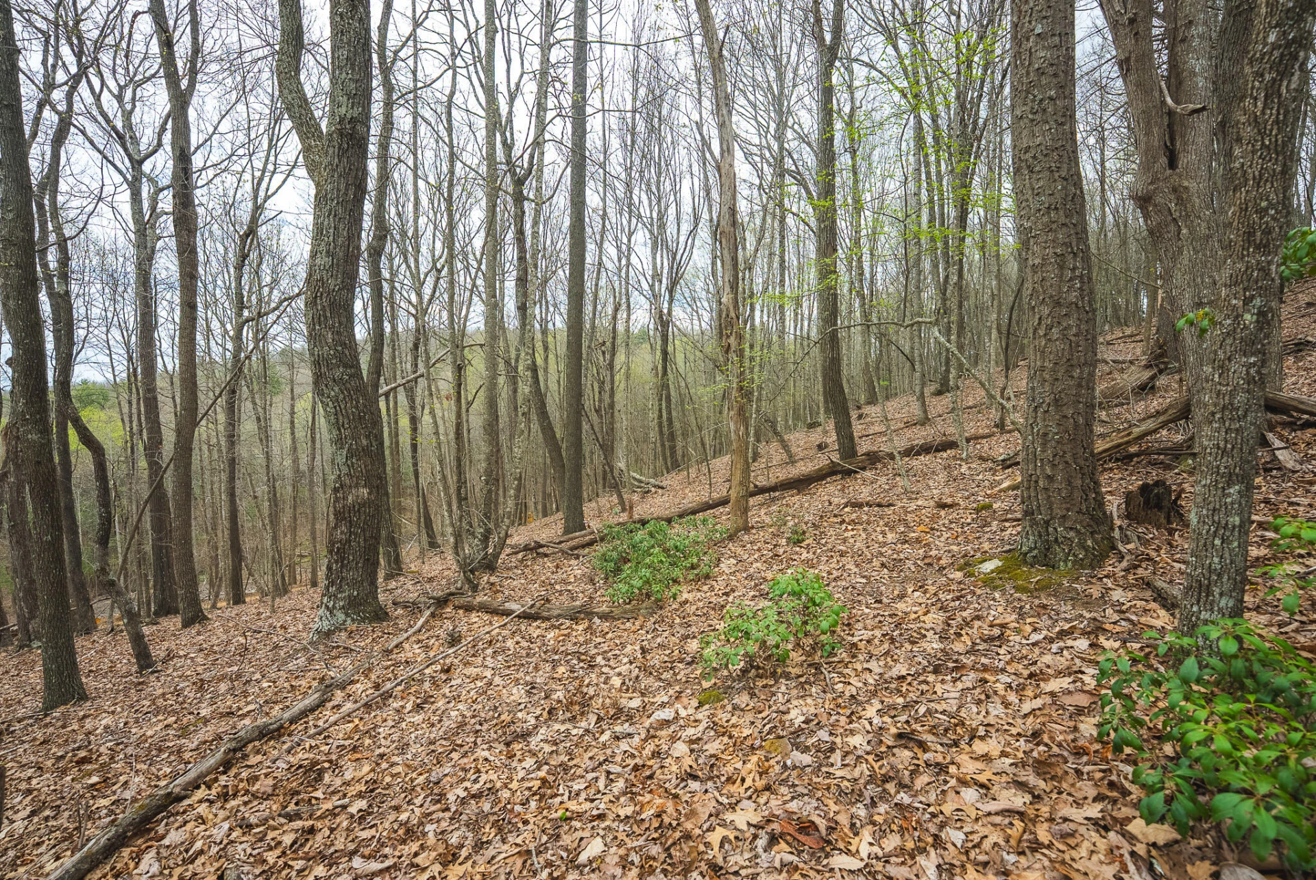 TBD Cox Store RD - Photo 27