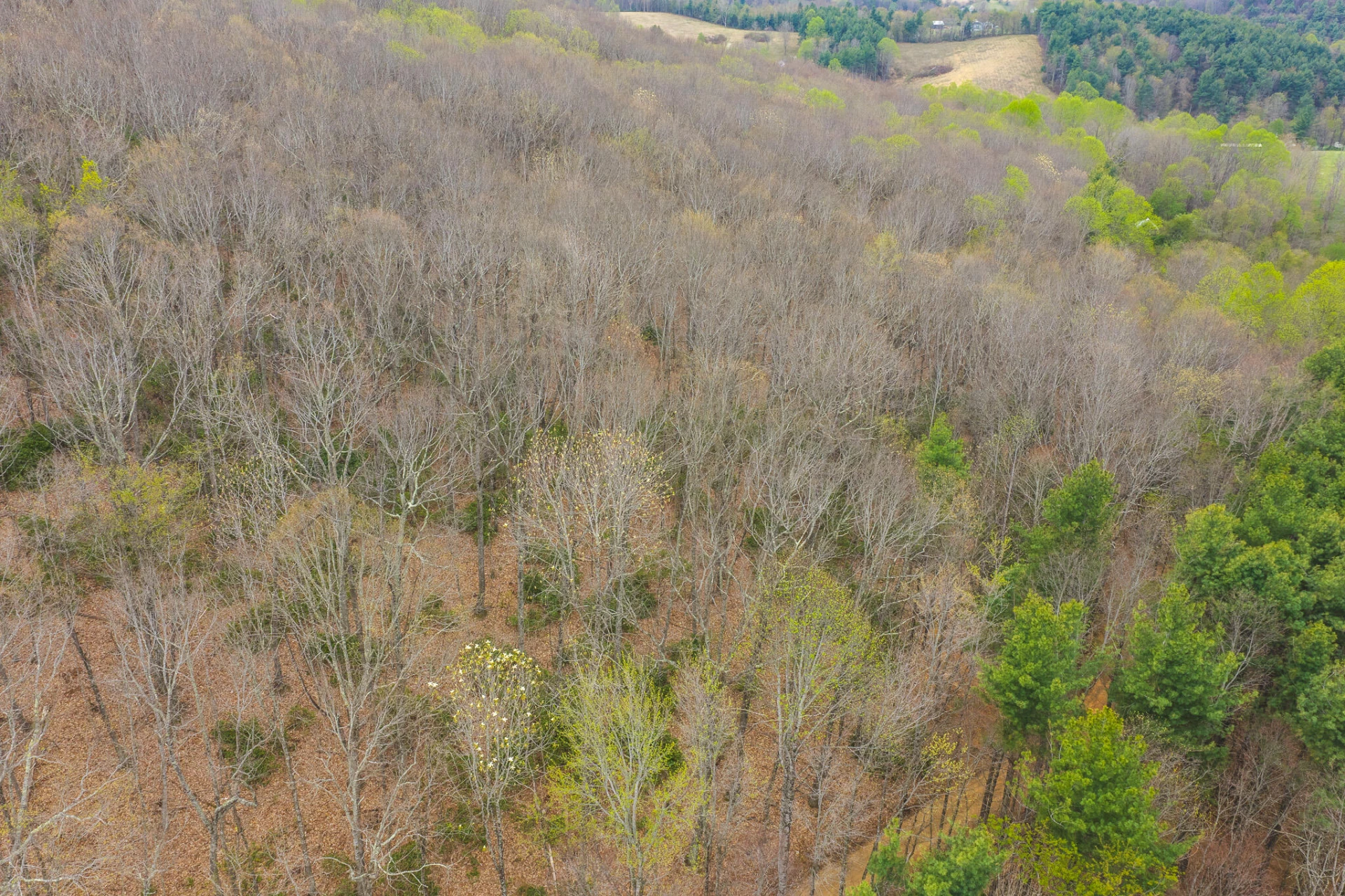 TBD Cox Store RD - Photo 3