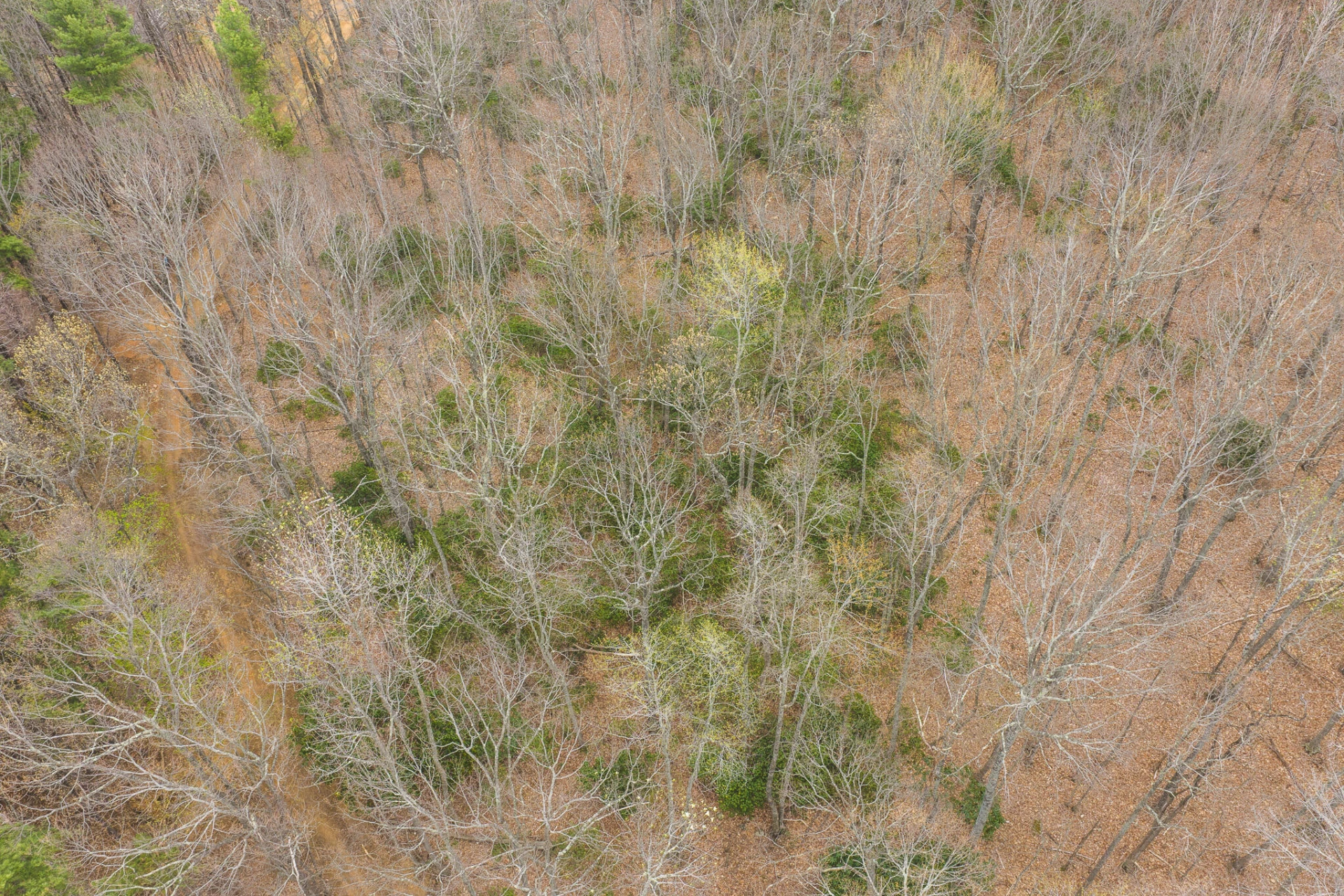 TBD Cox Store RD - Photo 5