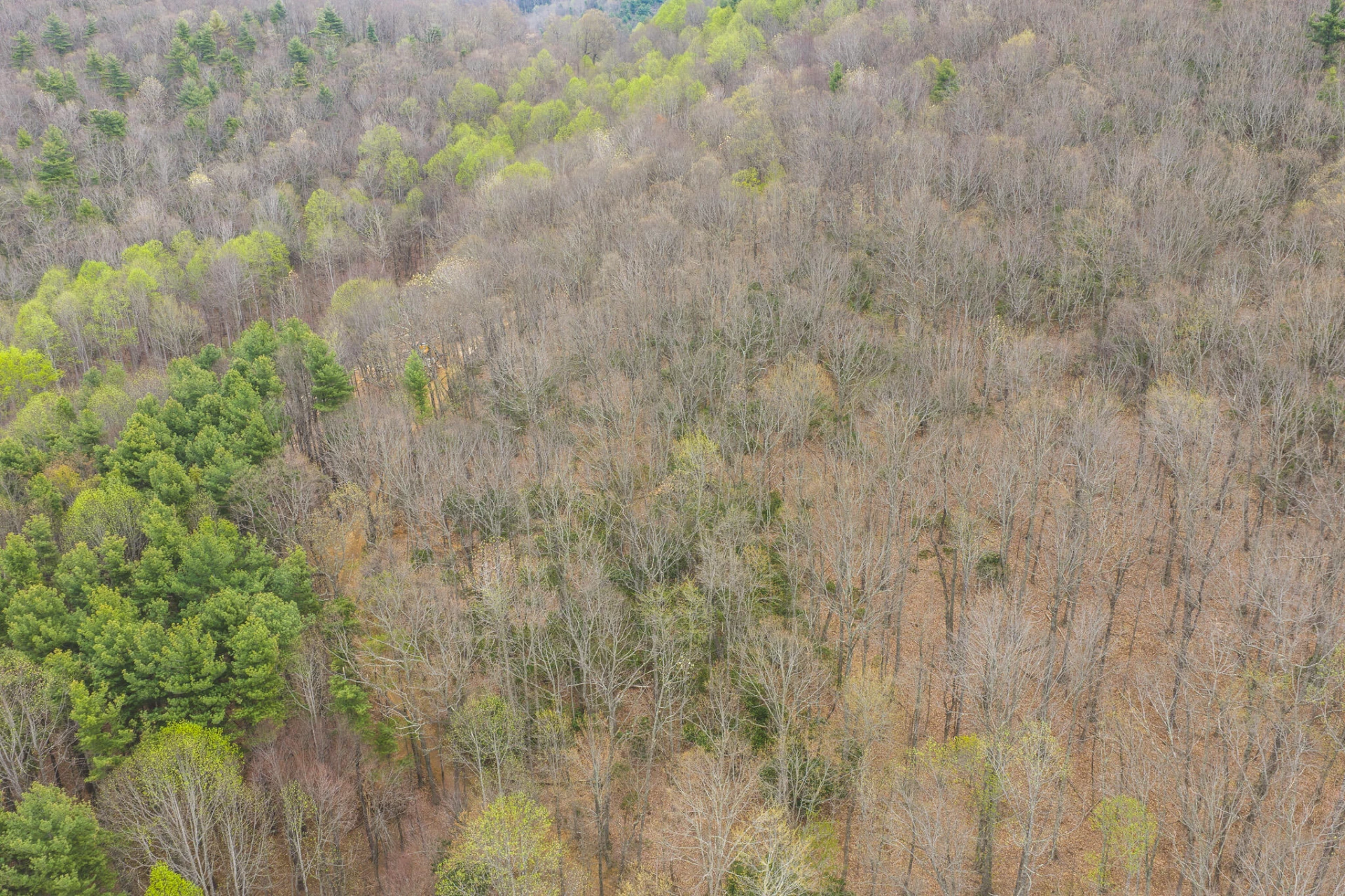 TBD Cox Store RD - Photo 6