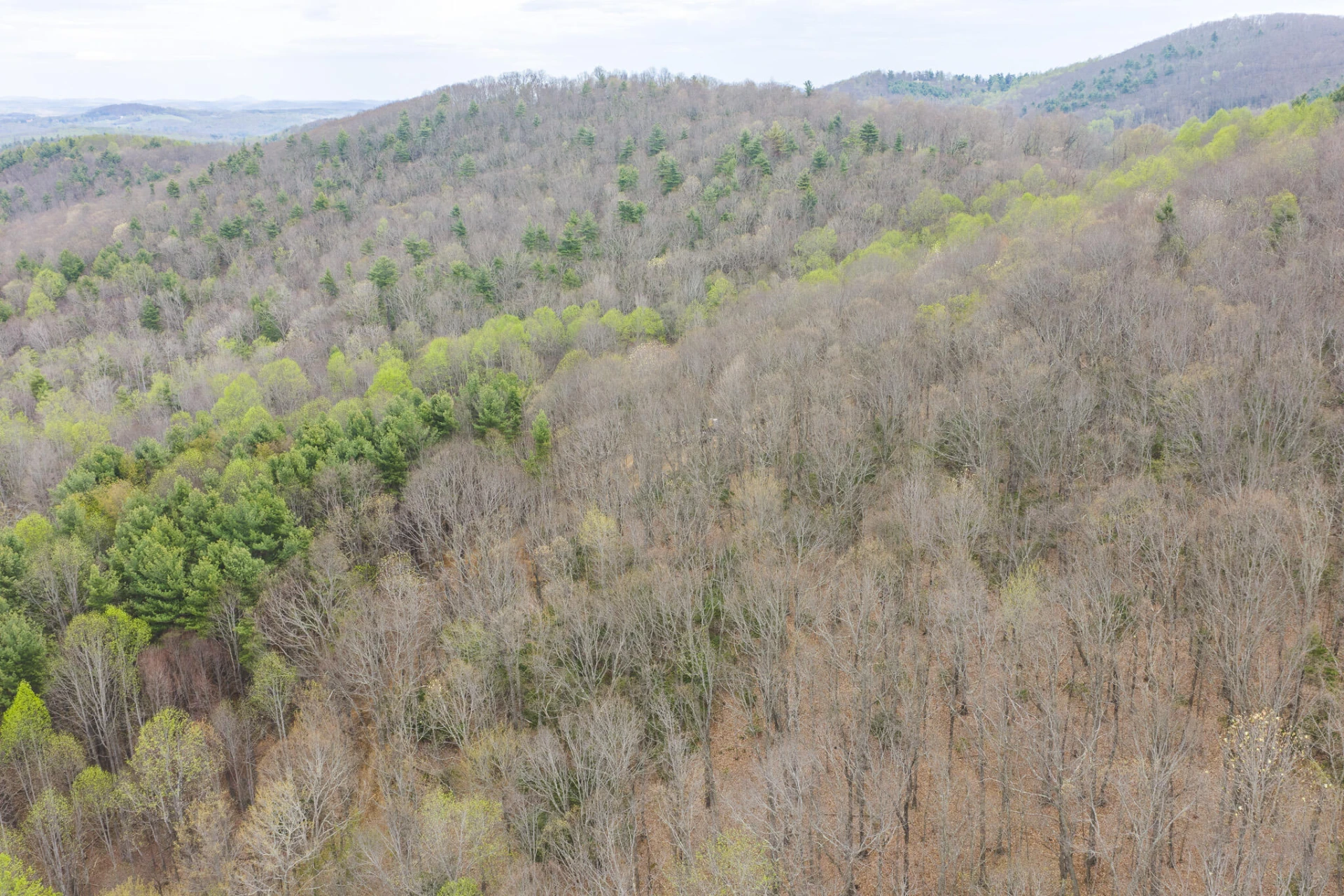 TBD Cox Store RD - Photo 7