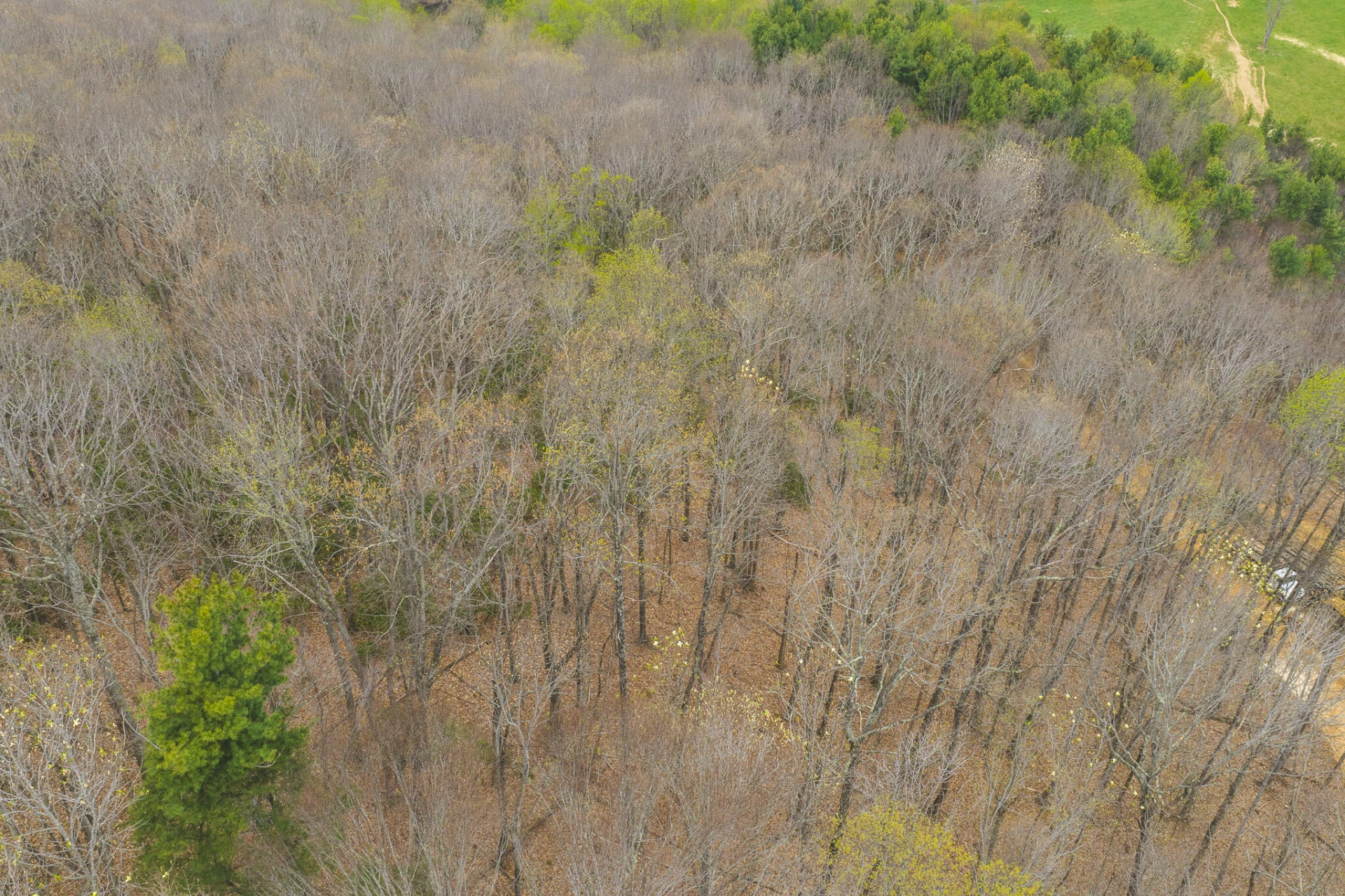 TBD Cox Store RD - Photo 8