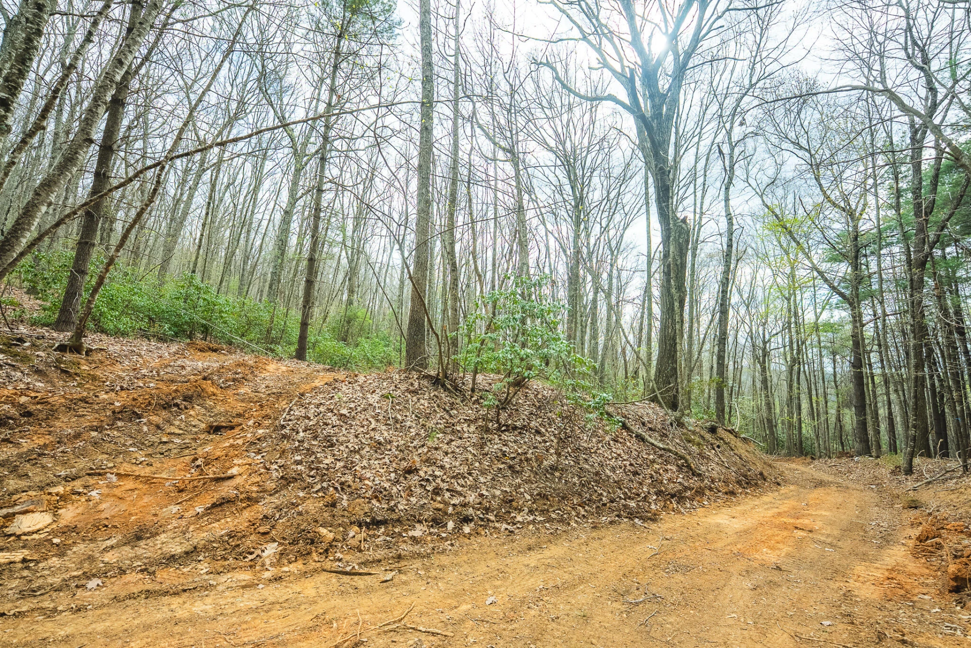 TBD Cox Store RD - Photo 9
