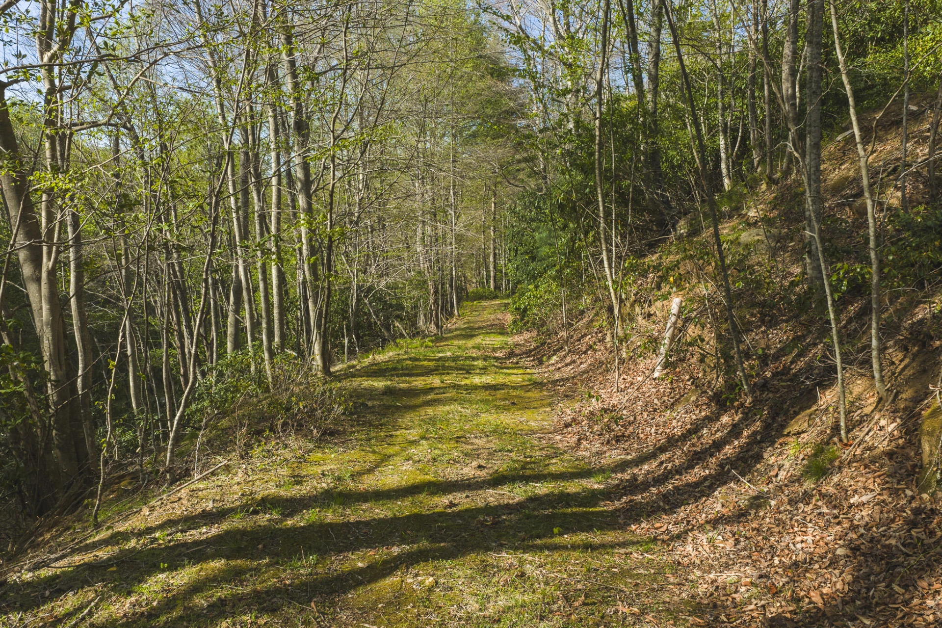 TBD Black Ridge RD