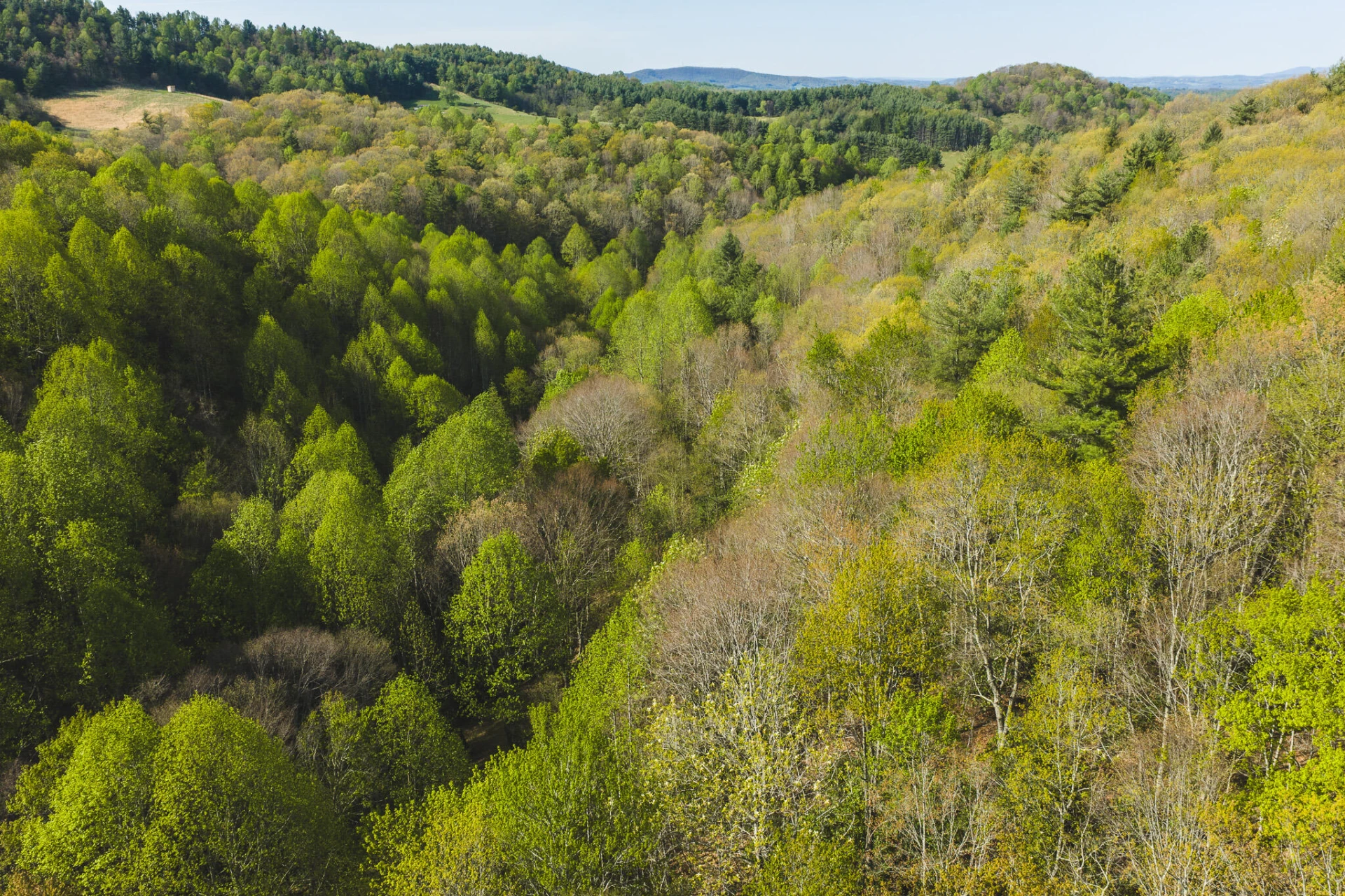 TBD Black Ridge RD - Photo 10