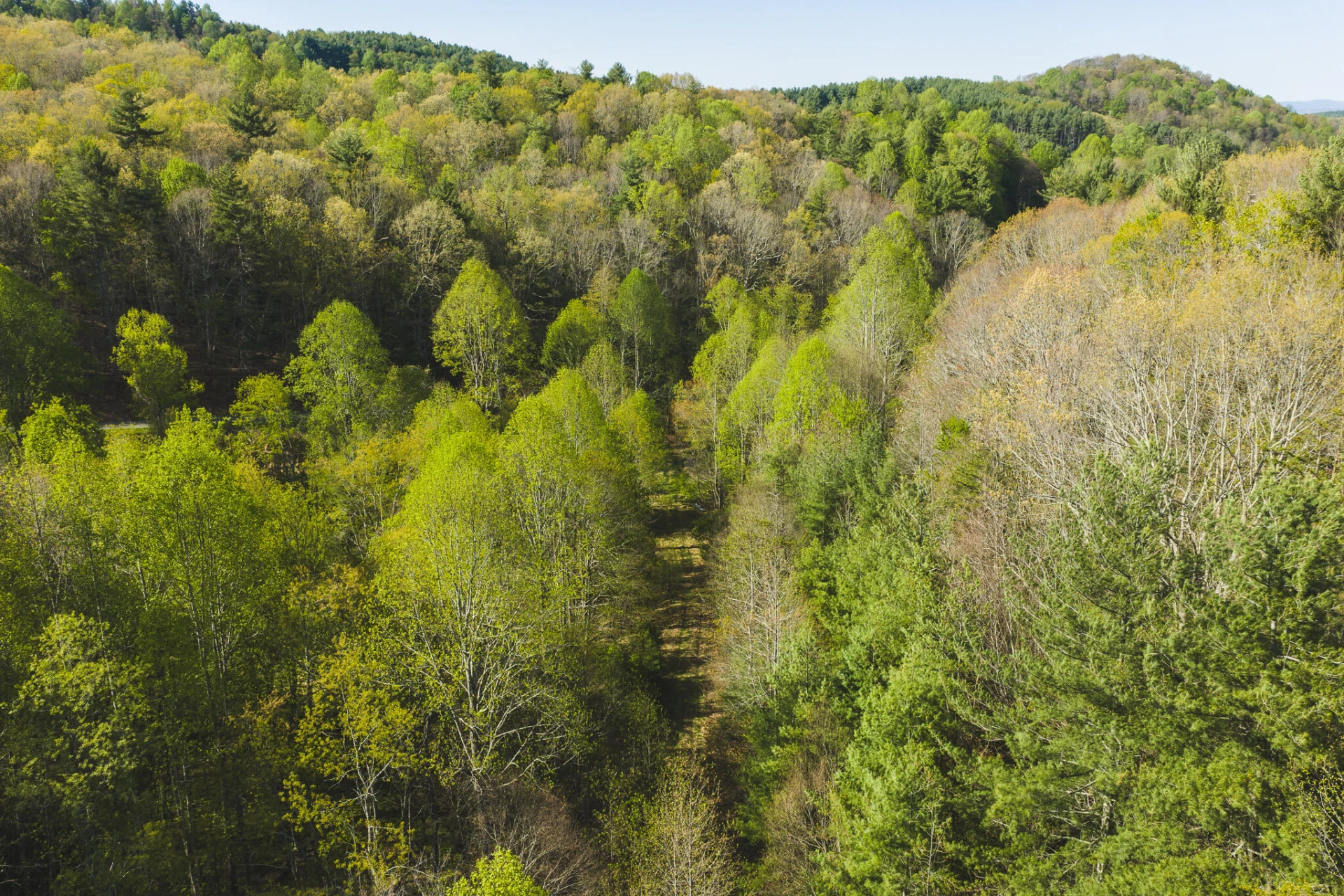 TBD Black Ridge RD - Photo 11