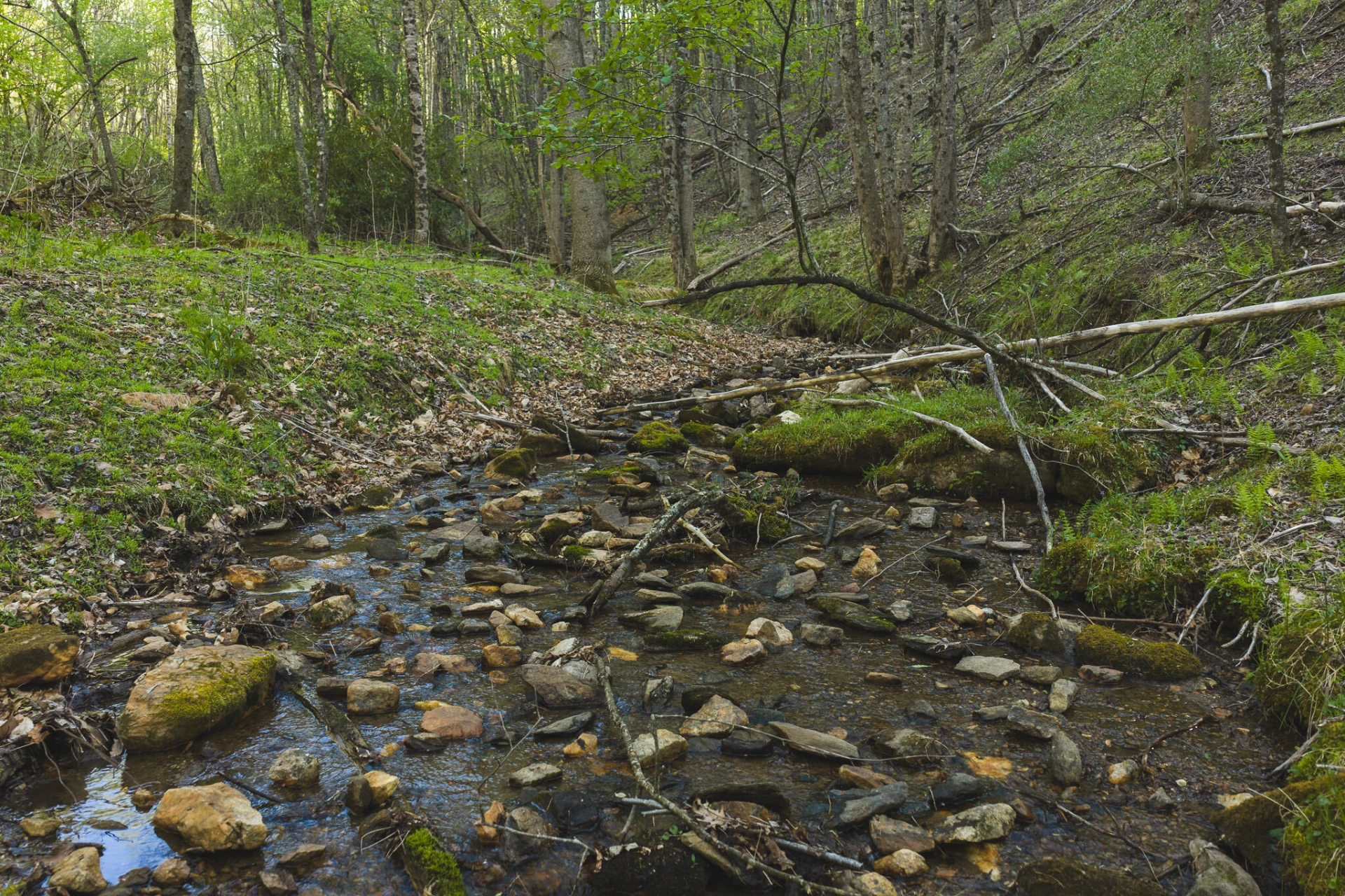TBD Black Ridge RD - Photo 14