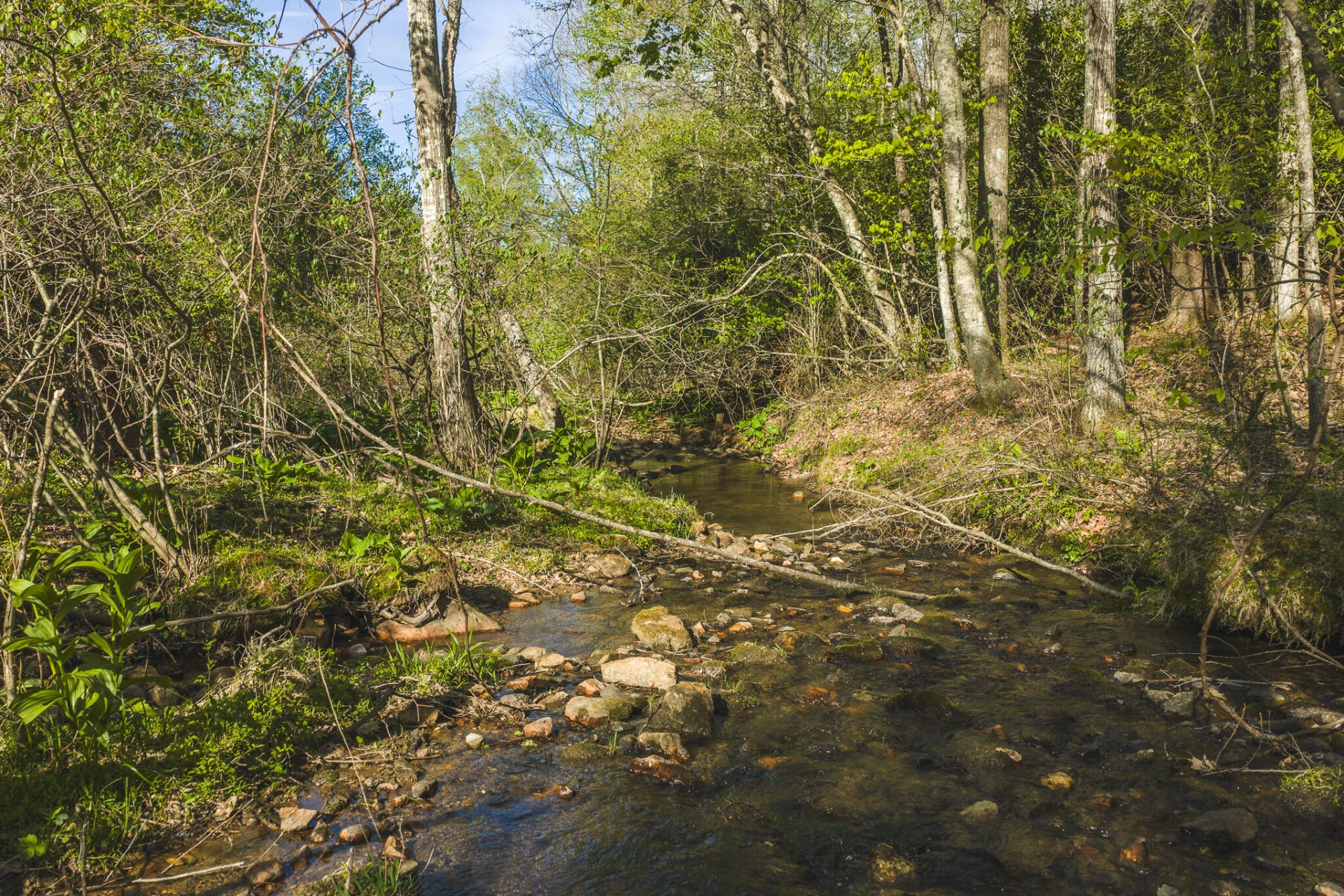 TBD Black Ridge RD - Photo 16
