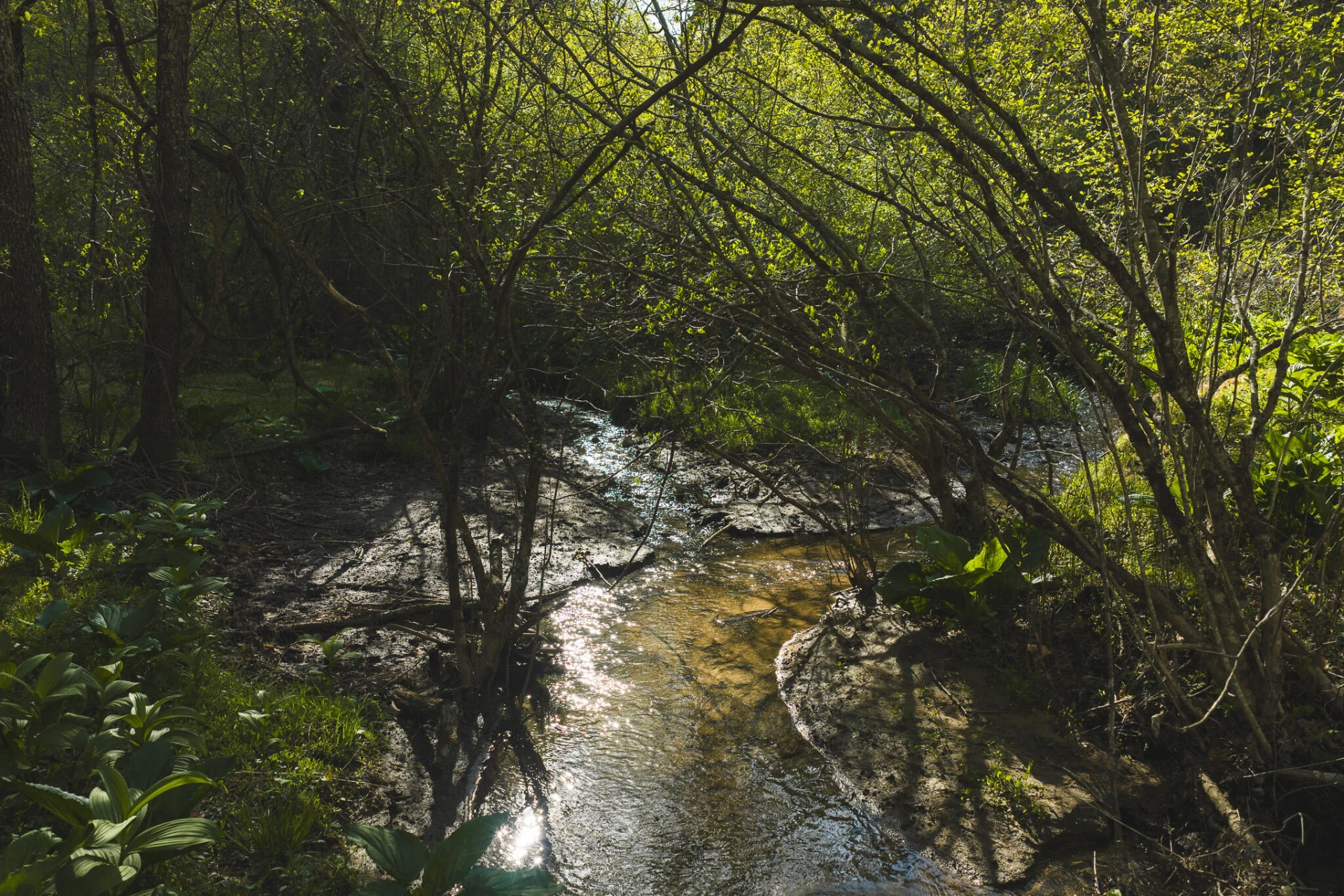 TBD Black Ridge RD - Photo 17