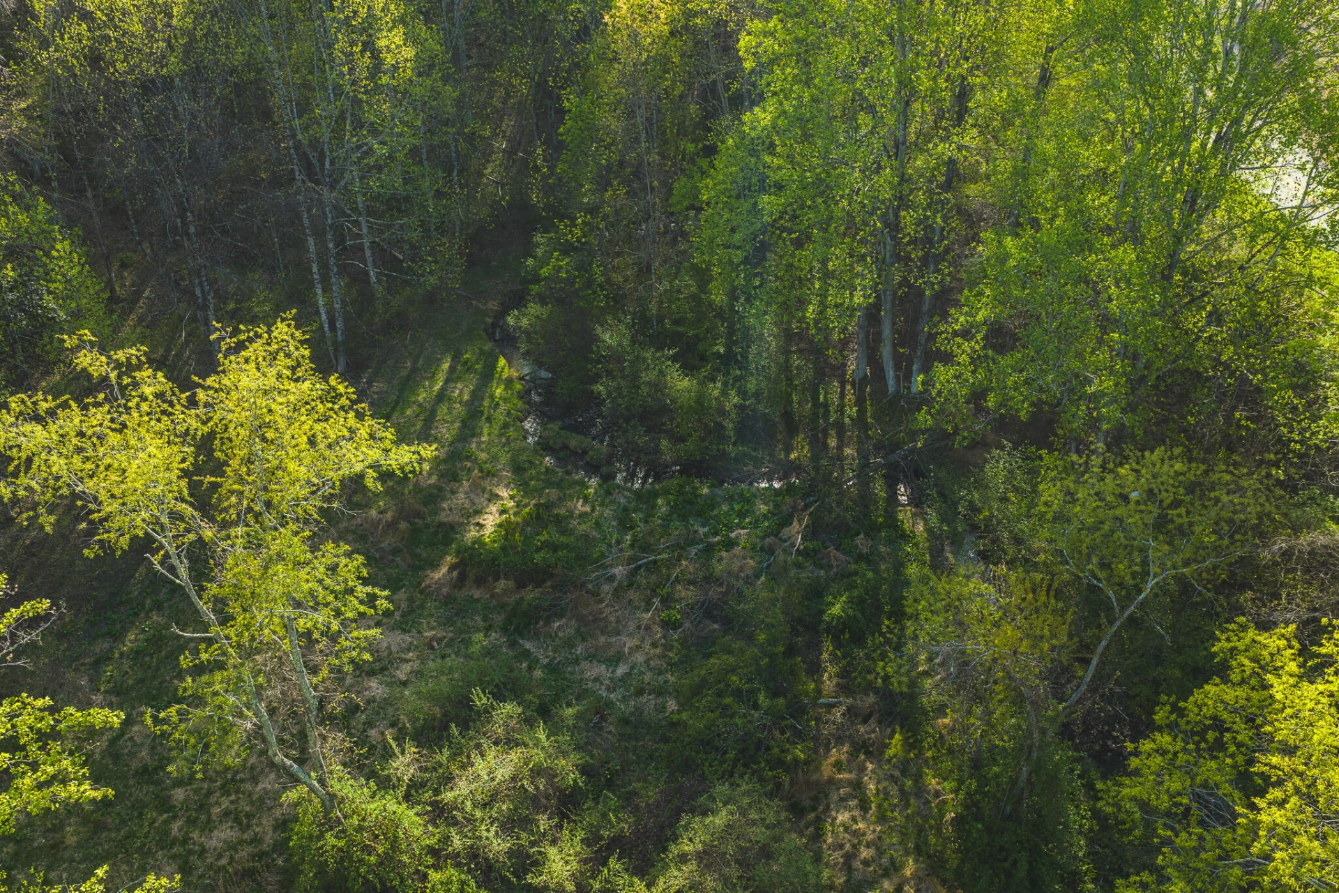 TBD Black Ridge RD - Photo 18