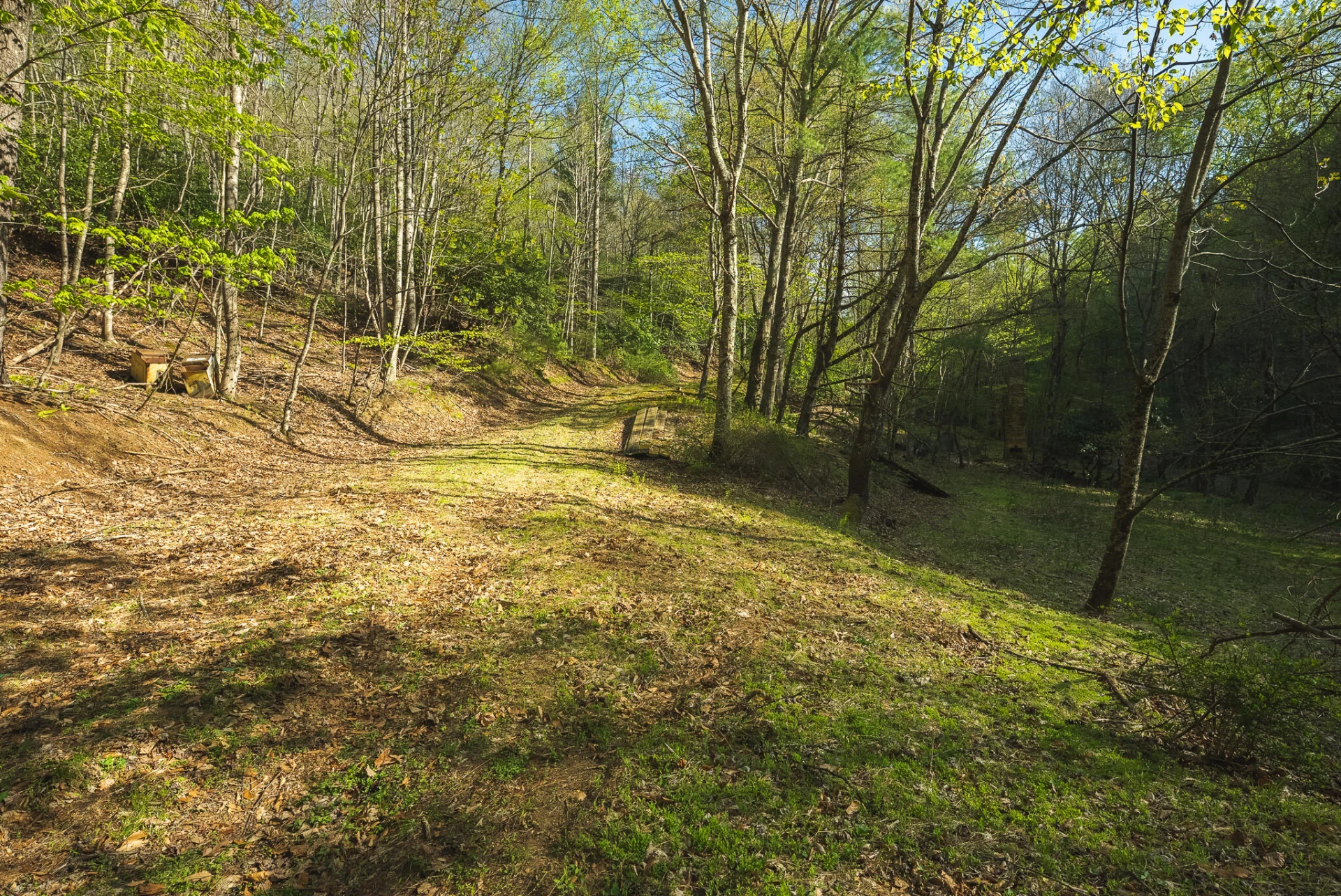 TBD Black Ridge RD - Photo 19