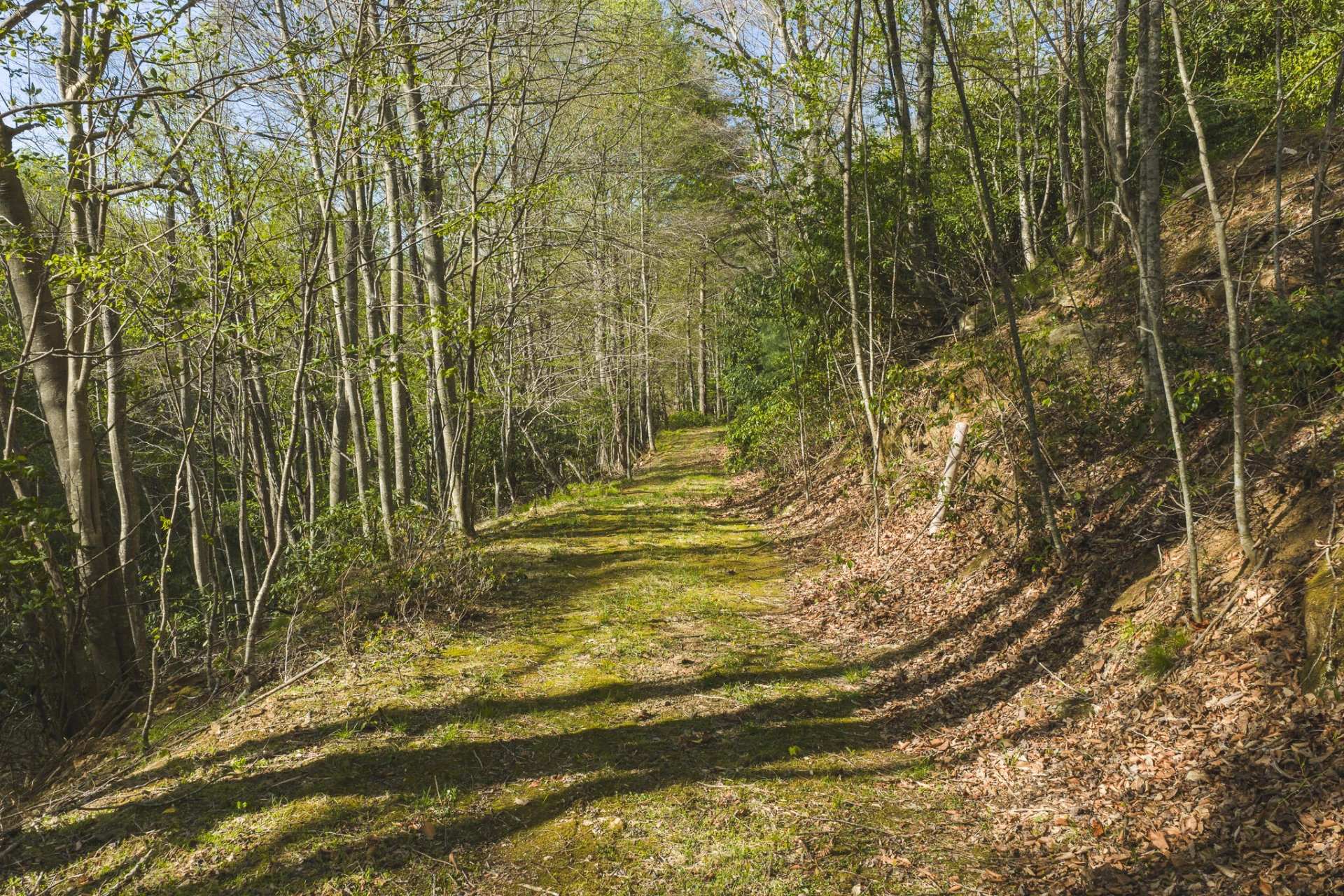 TBD Black Ridge RD - Photo 2