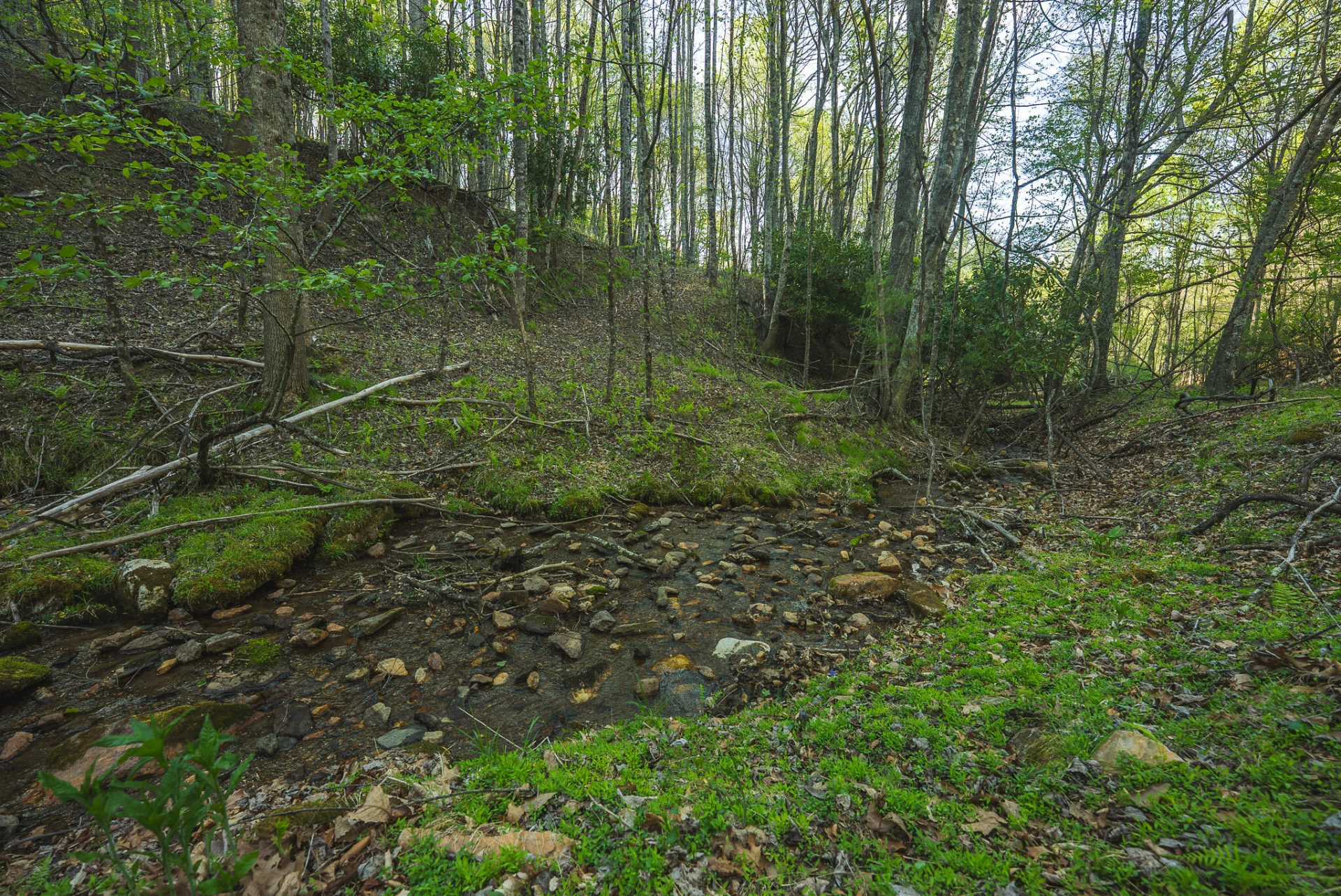 TBD Black Ridge RD - Photo 20