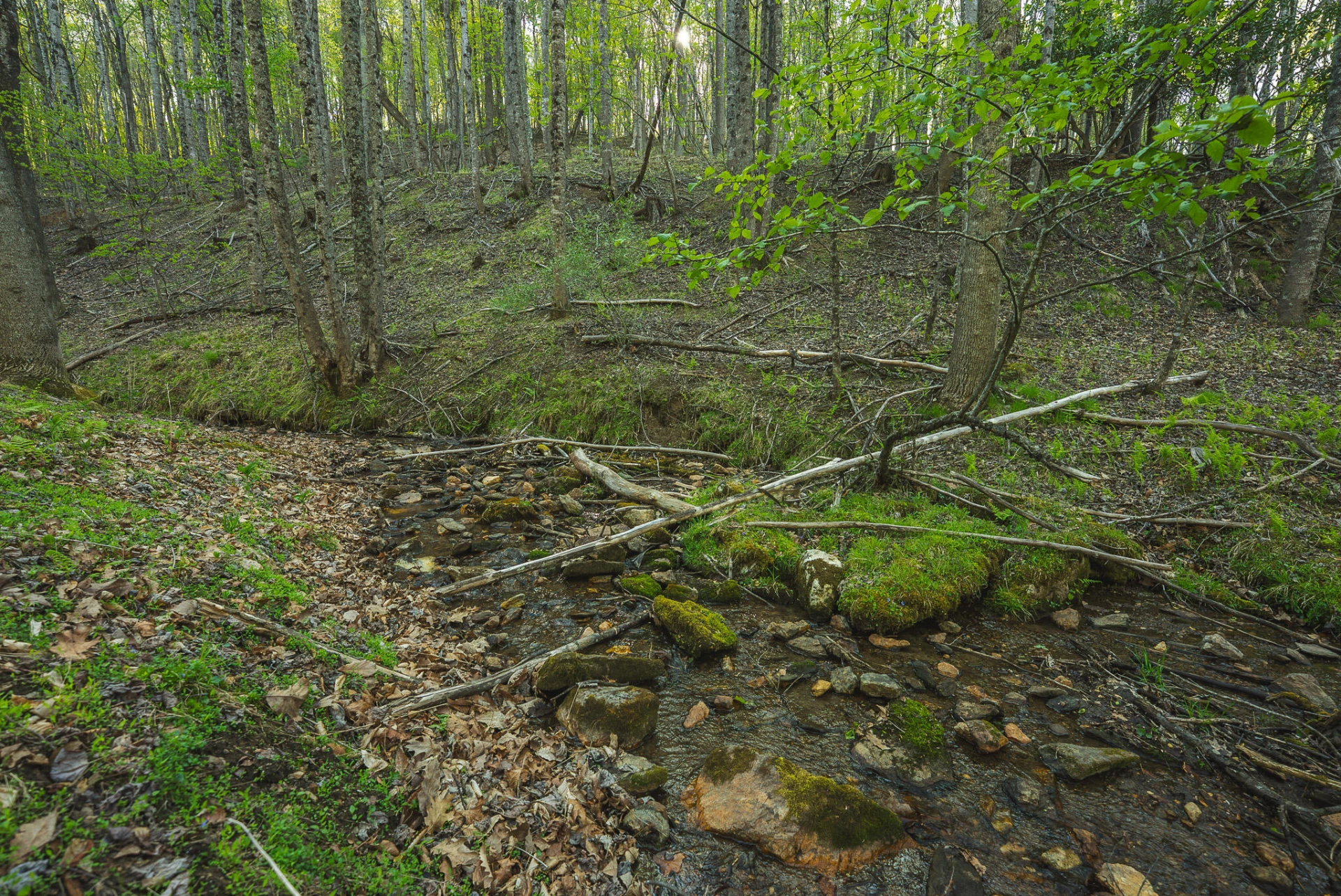 TBD Black Ridge RD - Photo 21