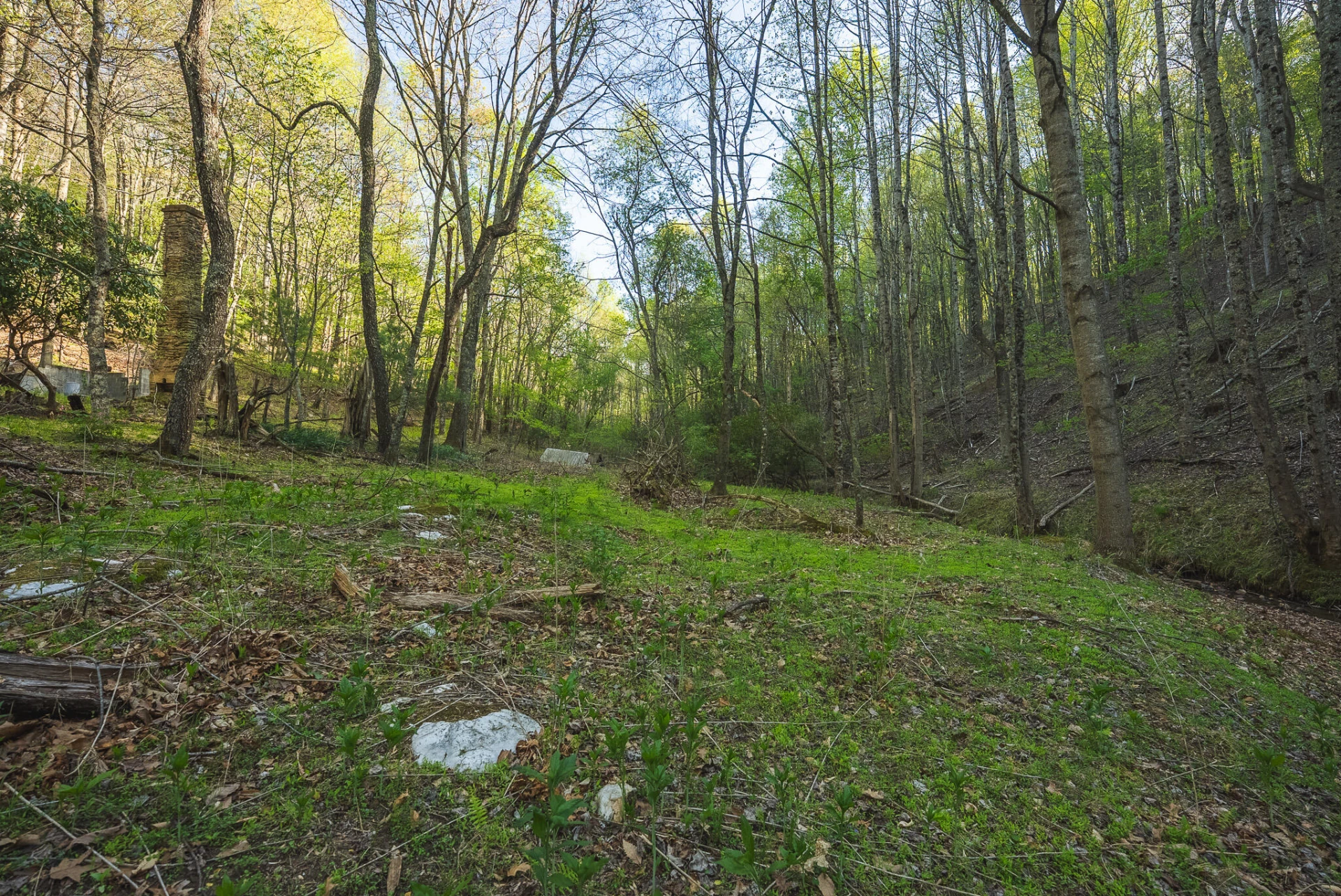 TBD Black Ridge RD - Photo 22