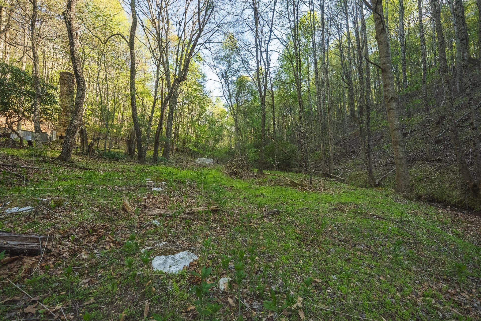 TBD Black Ridge RD - Photo 23