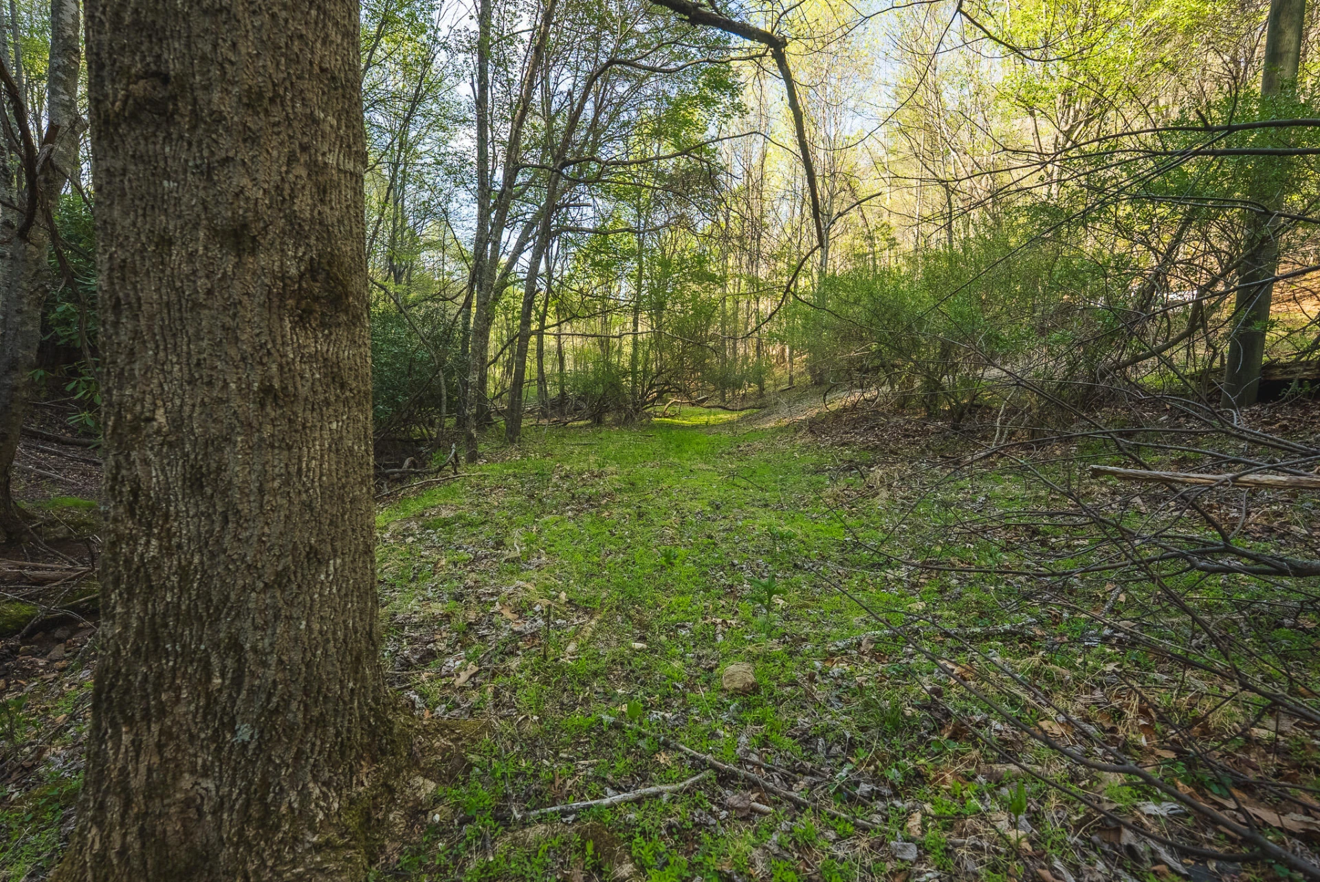 TBD Black Ridge RD - Photo 24