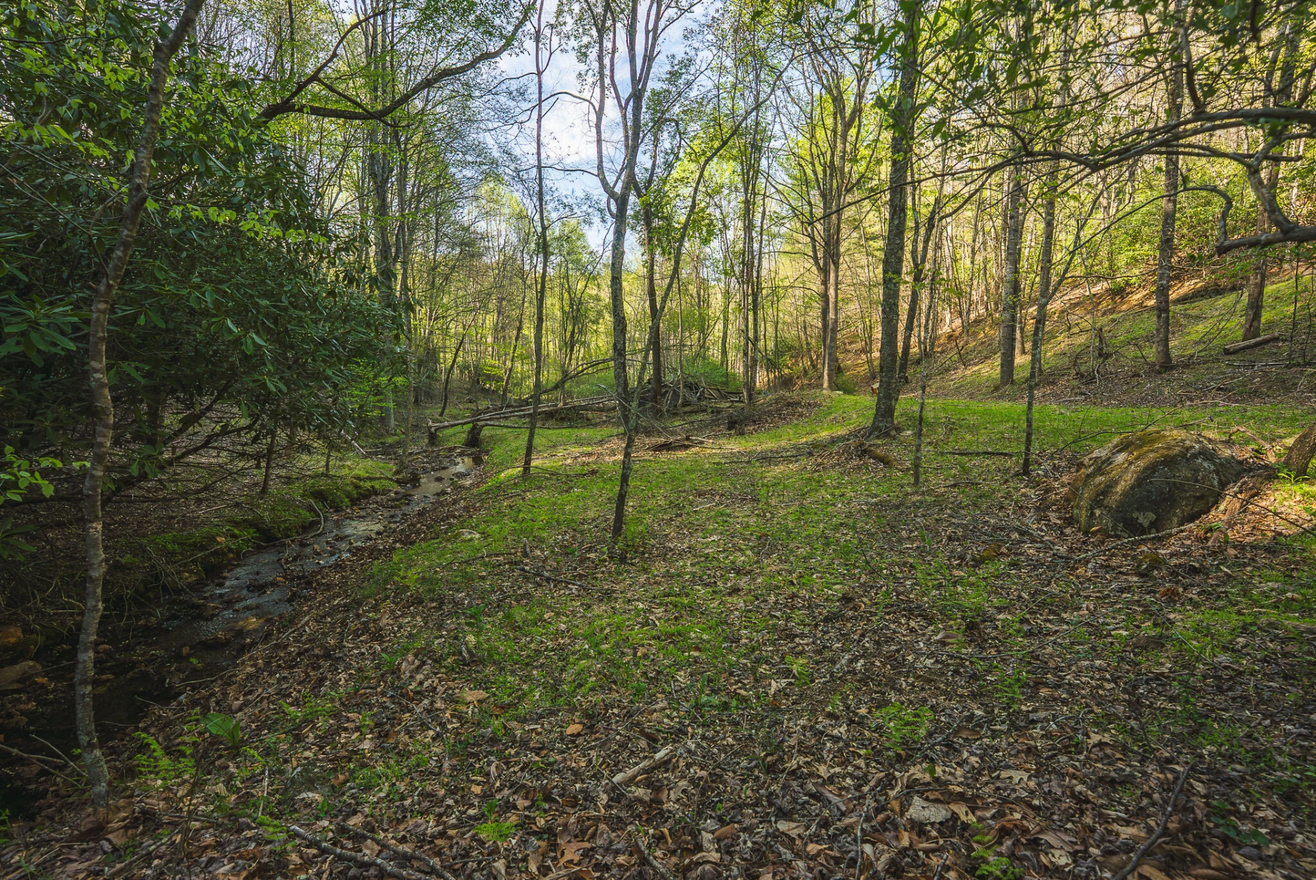 TBD Black Ridge RD - Photo 25
