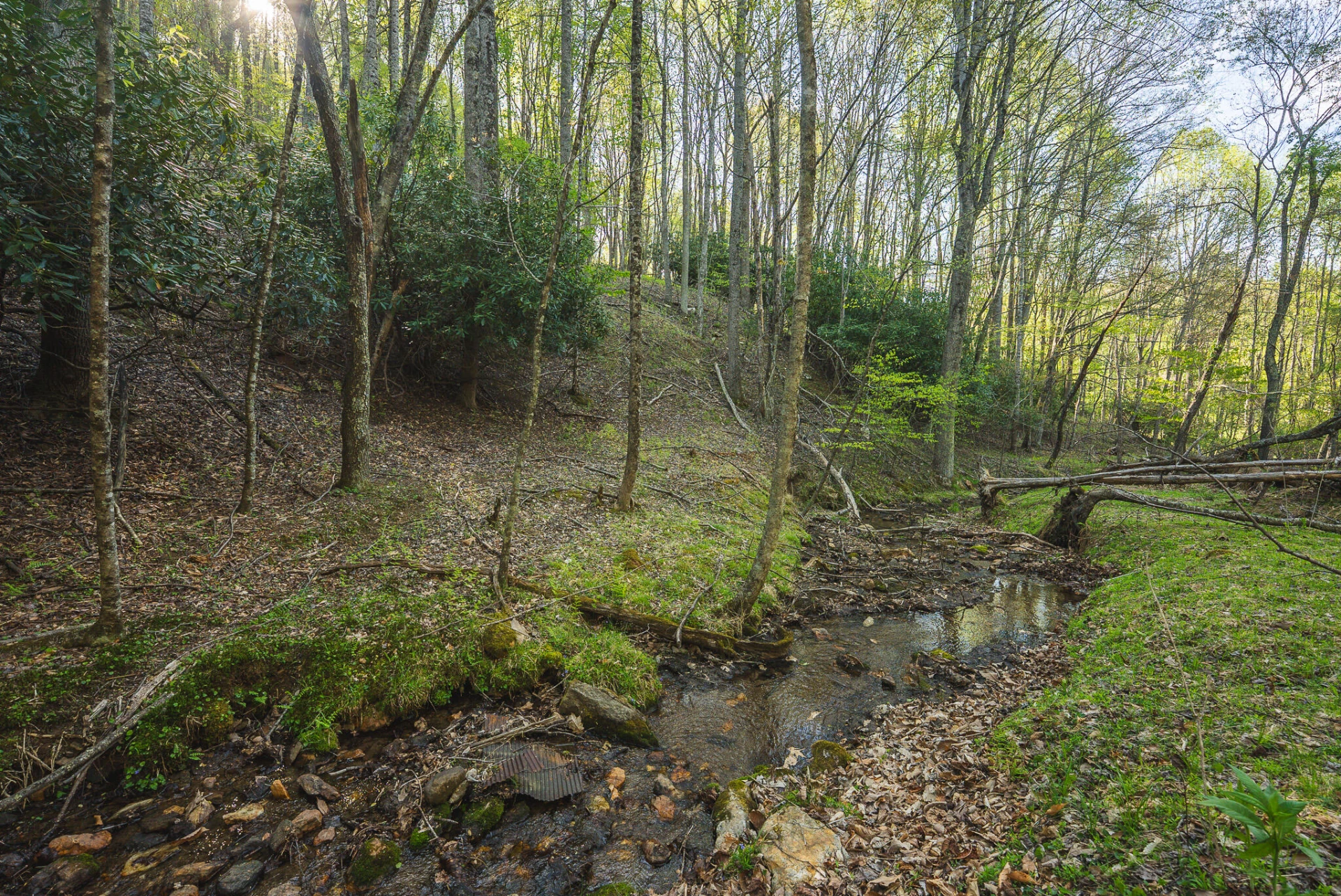 TBD Black Ridge RD - Photo 26