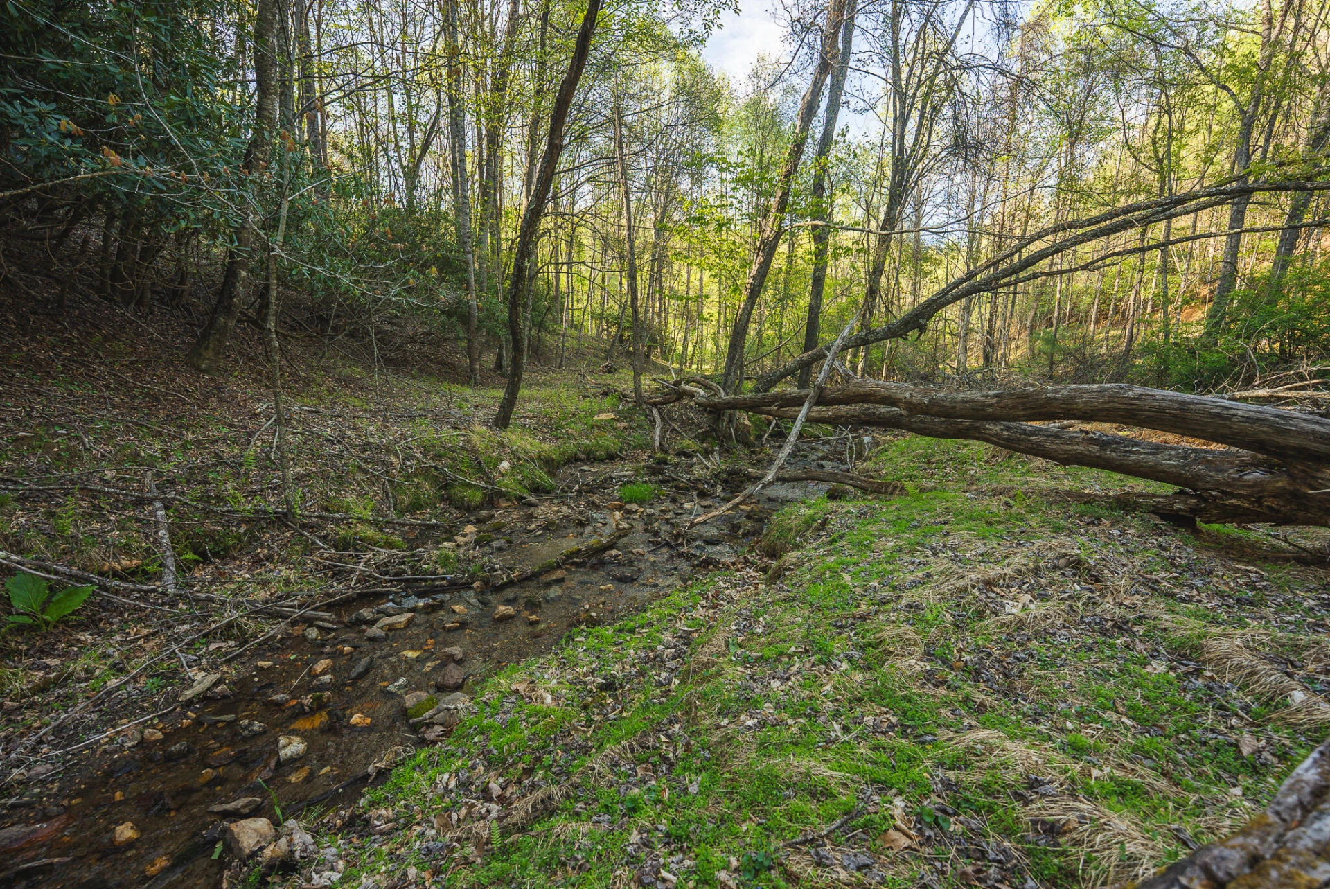 TBD Black Ridge RD - Photo 27